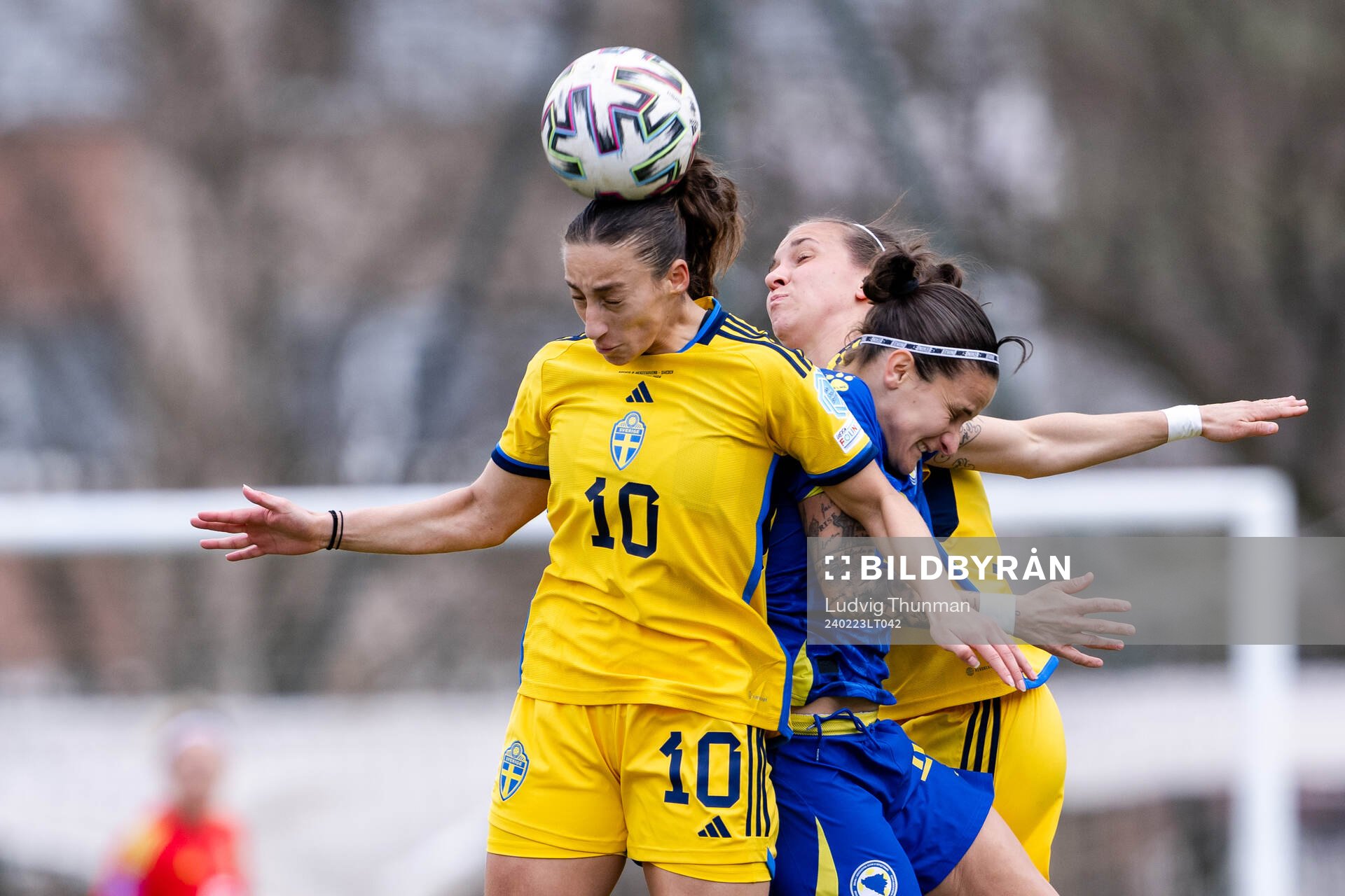 Rusul Rosa Kafaji of Sweden