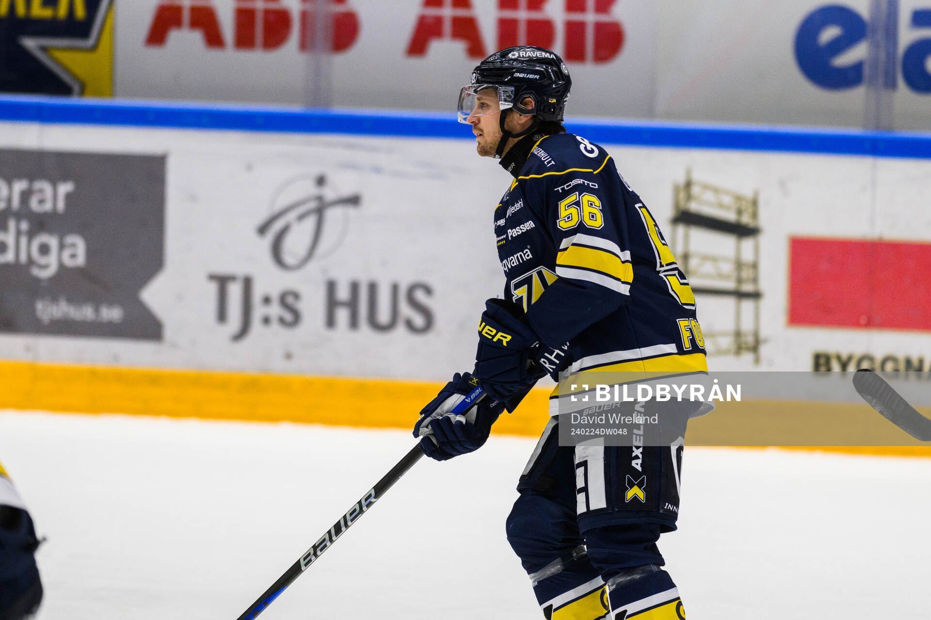 HV71s Fredrik Forsberg