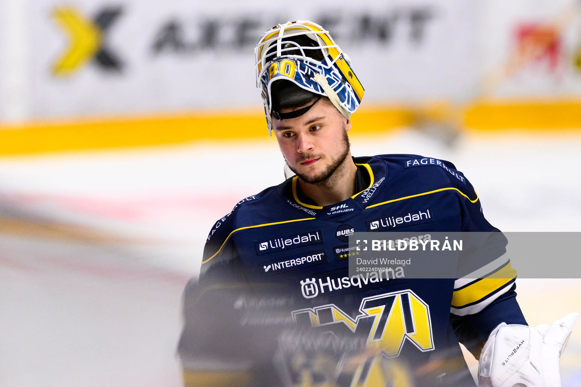 HV71s målvakt Frederik Dichow