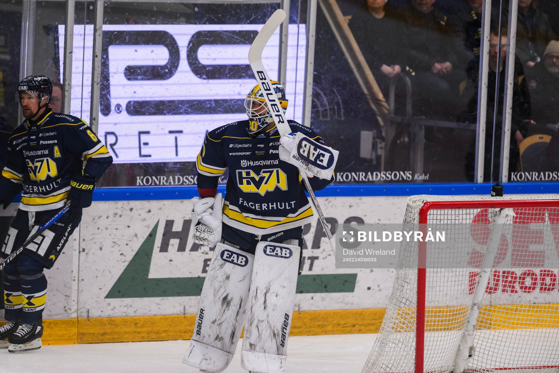HV71s målvakt Frederik Dichow