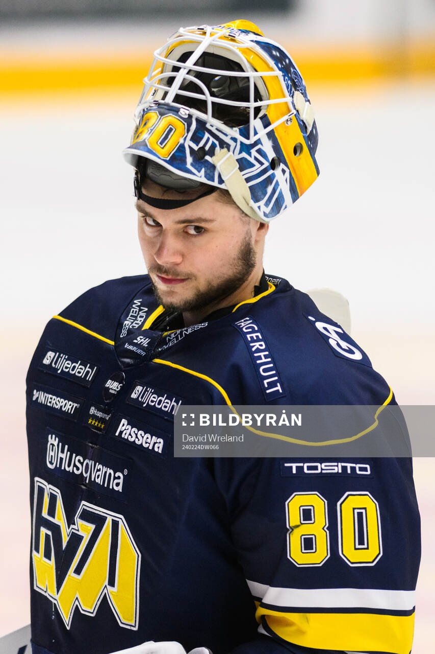 HV71s målvakt Frederik Dichow