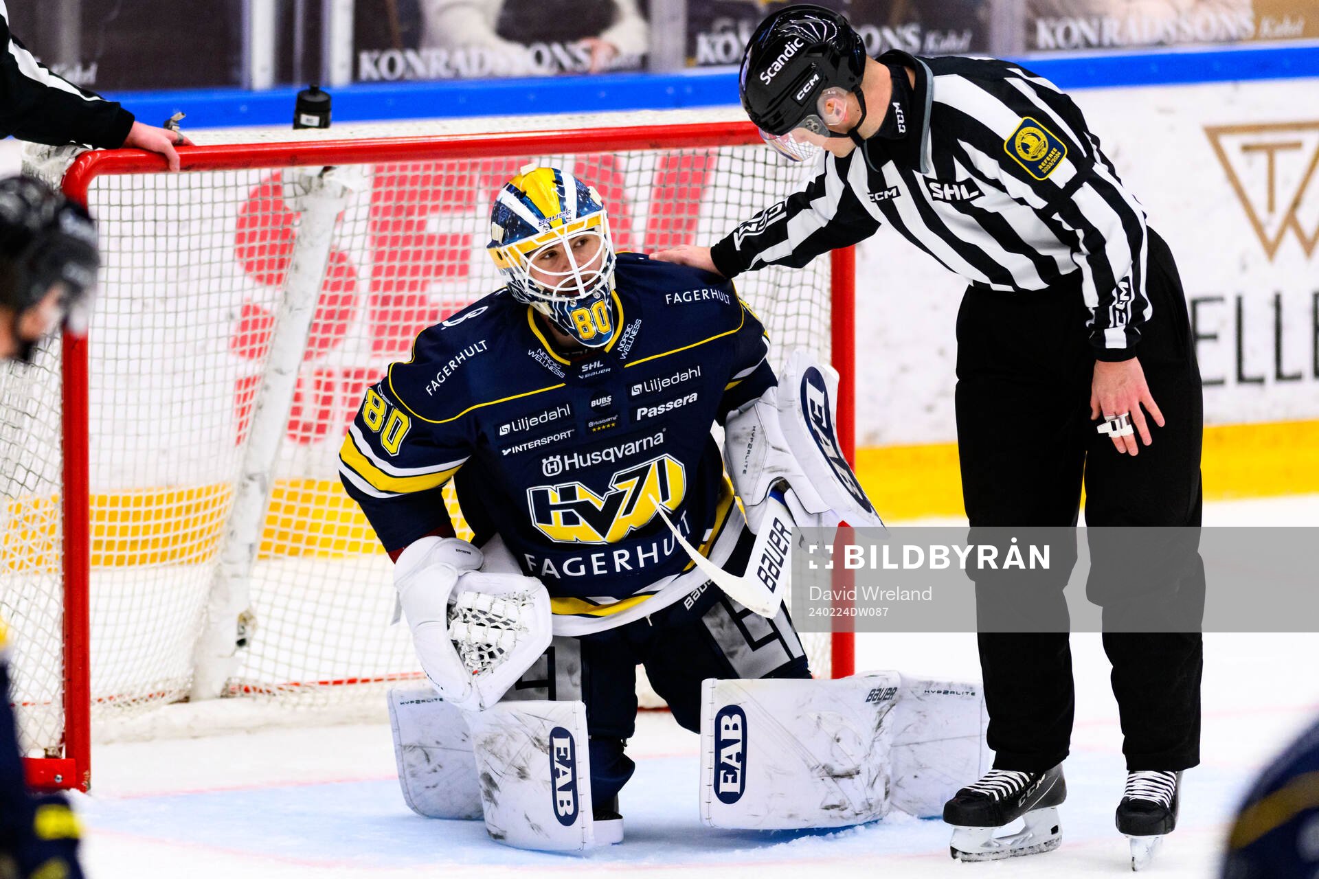 HV71s målvakt Frederik Dichow