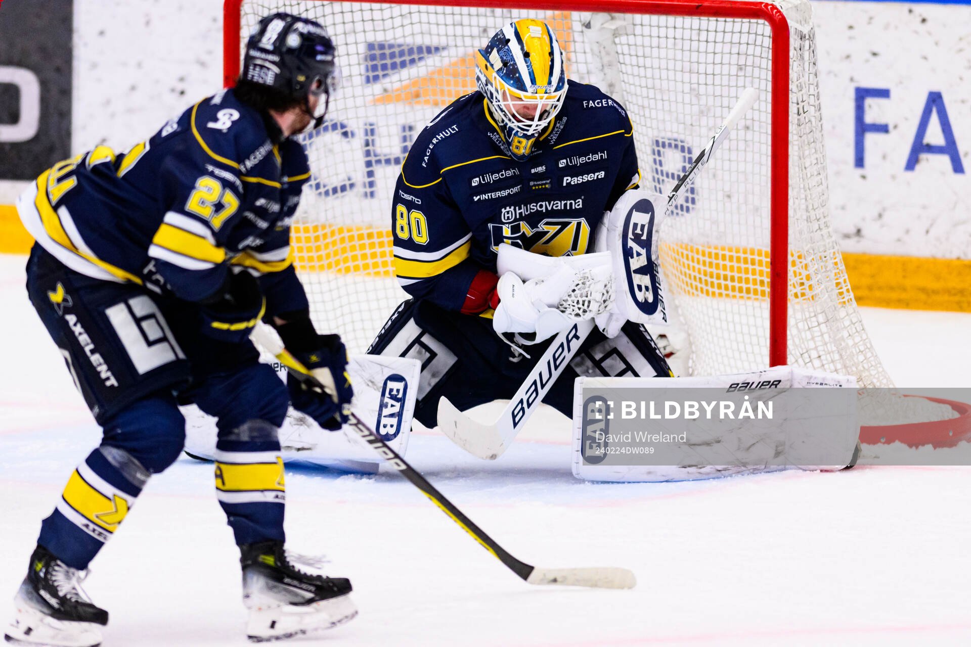 HV71s målvakt Frederik Dichow