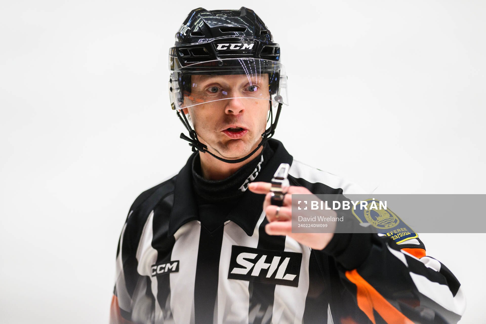 Domare Mikael Andersson