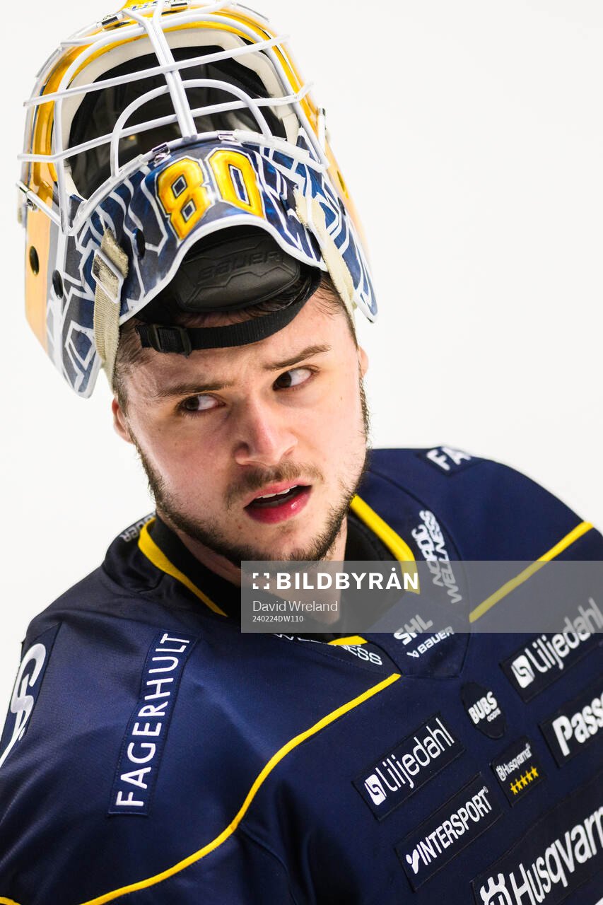 HV71s målvakt Frederik Dichow