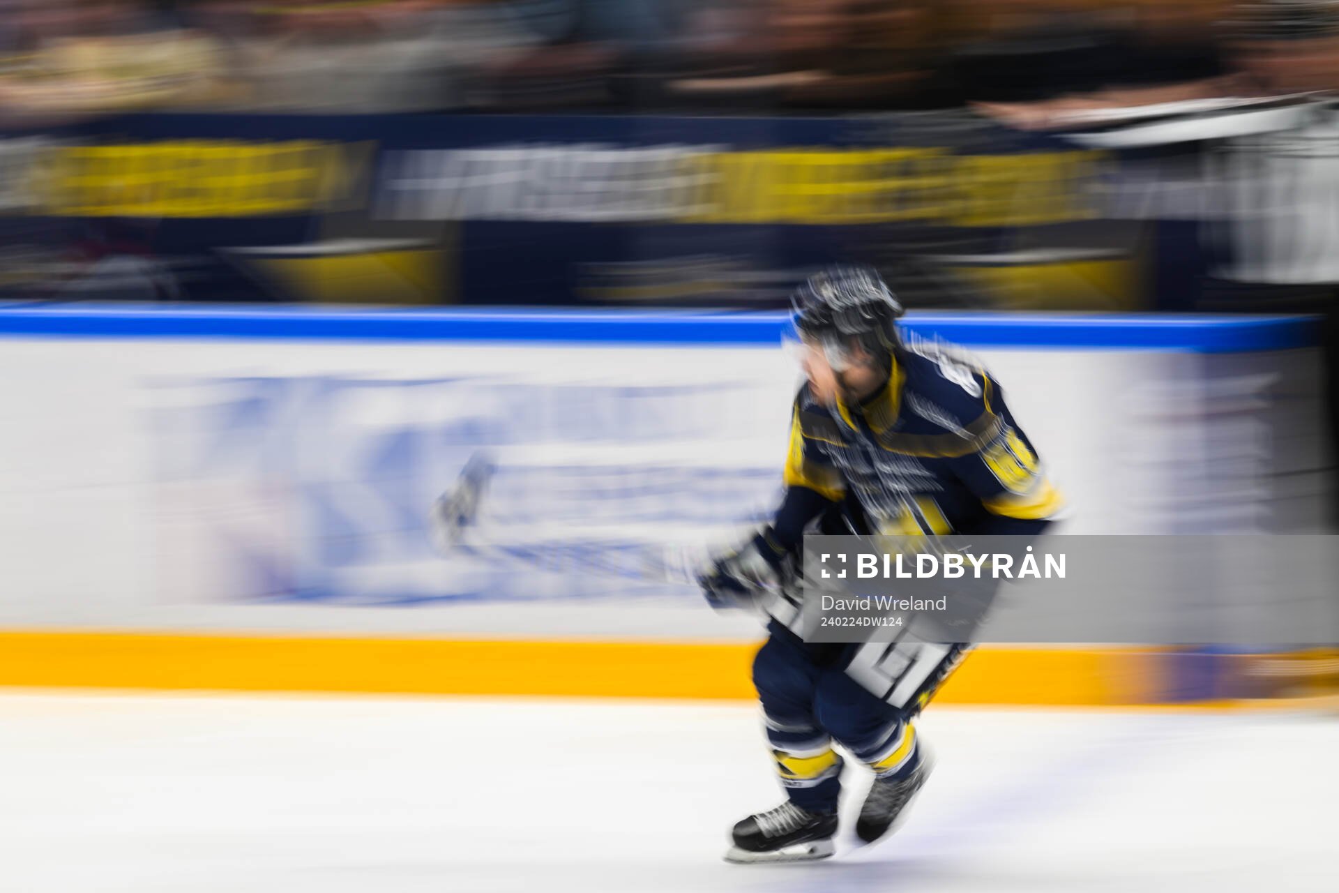 HV71s Fredrik Forsberg