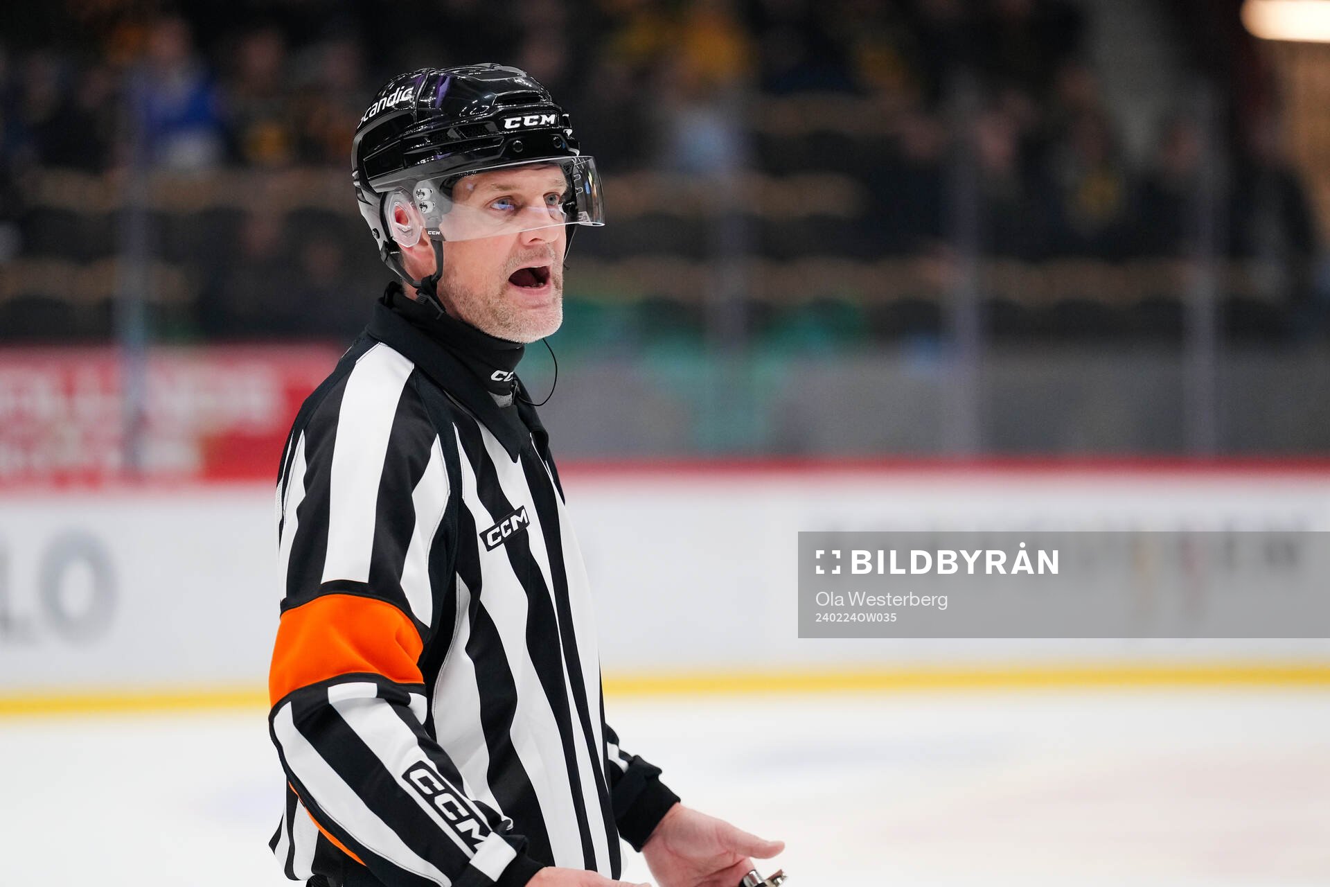 Domare Mikael Nord