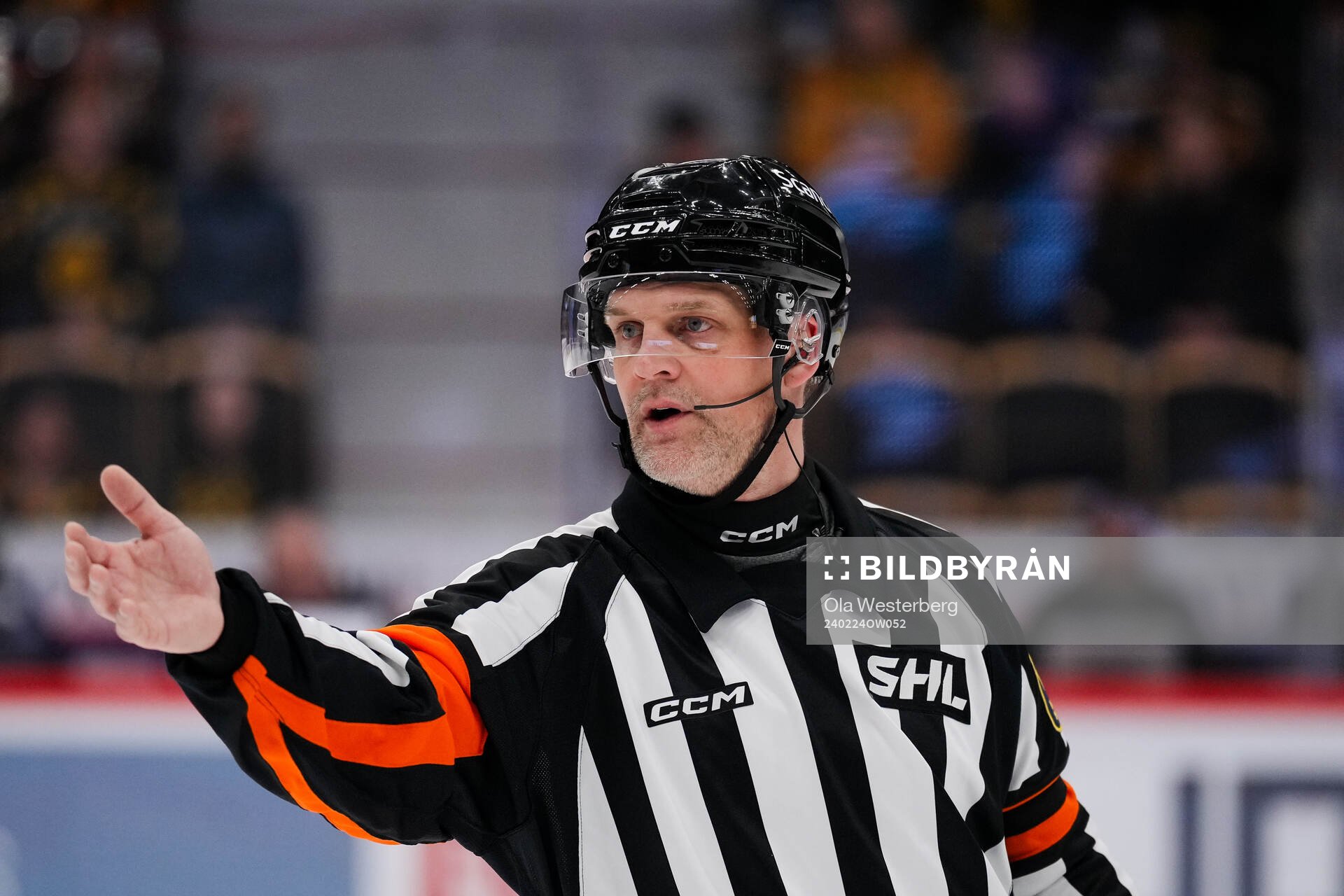 Domare Mikael Nord