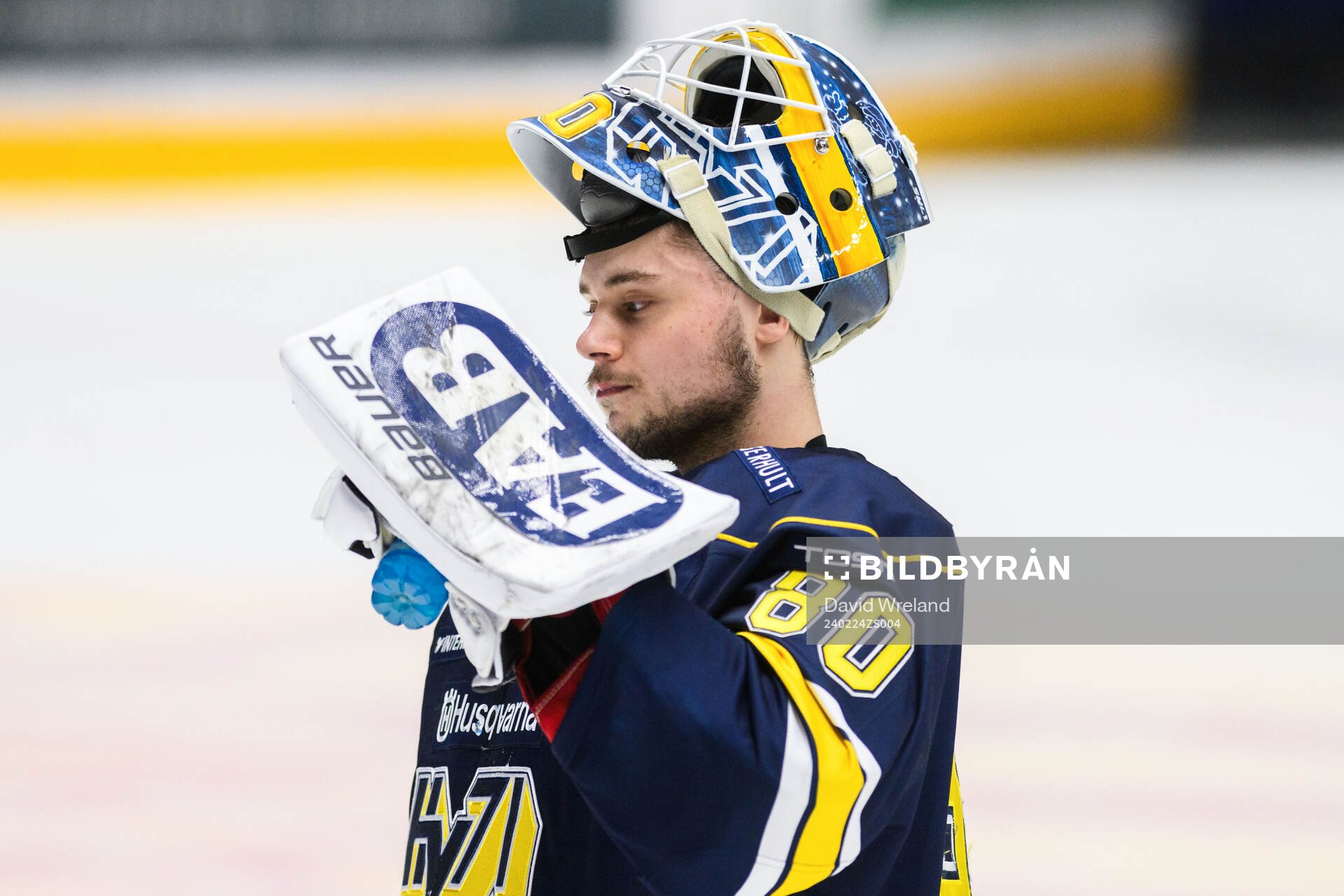 HV71s målvakt Frederik Dichow