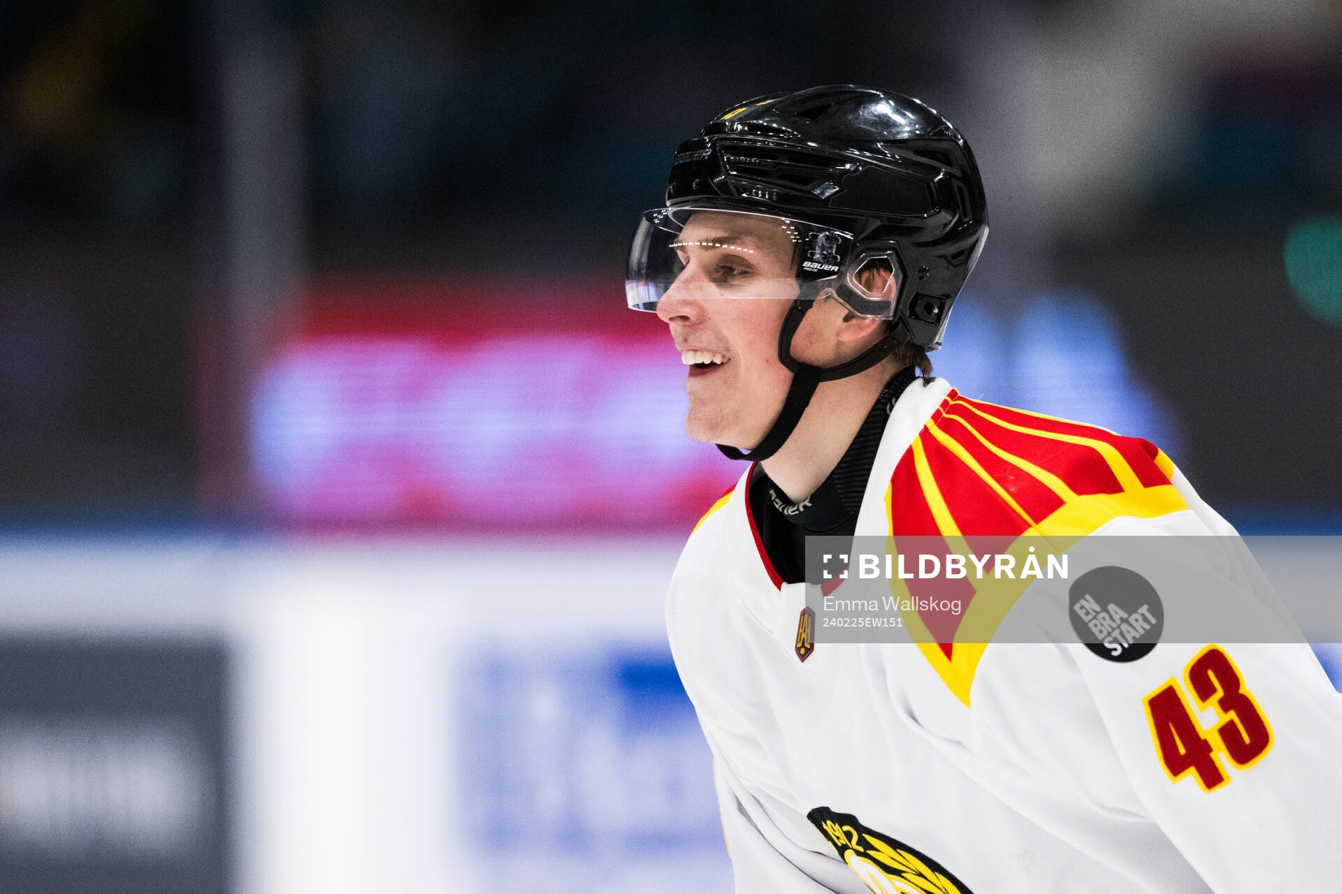 Brynäs Noel Nordh jublar