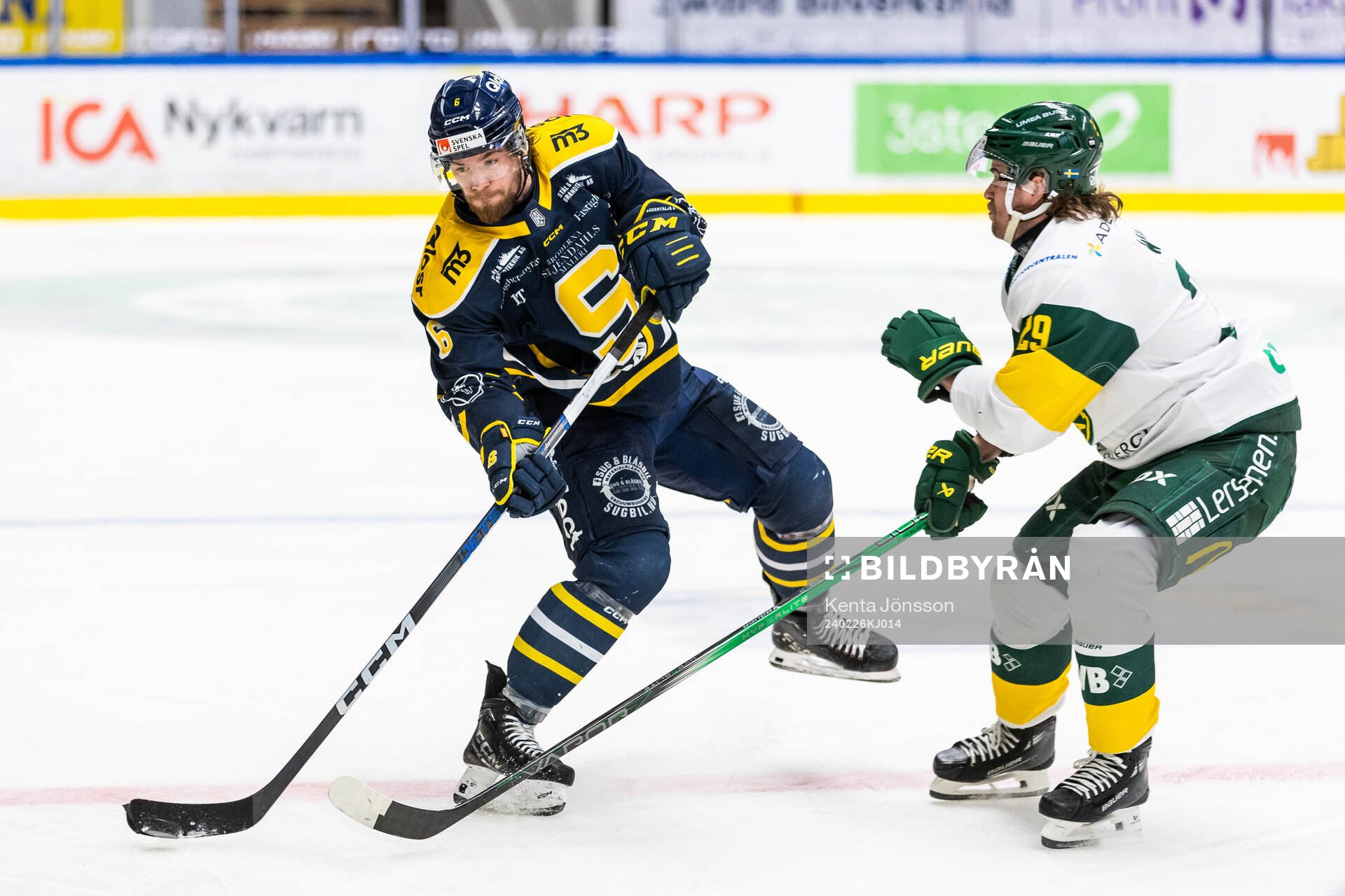 Olli Vainio Södertäljes och Björklövens Alexander