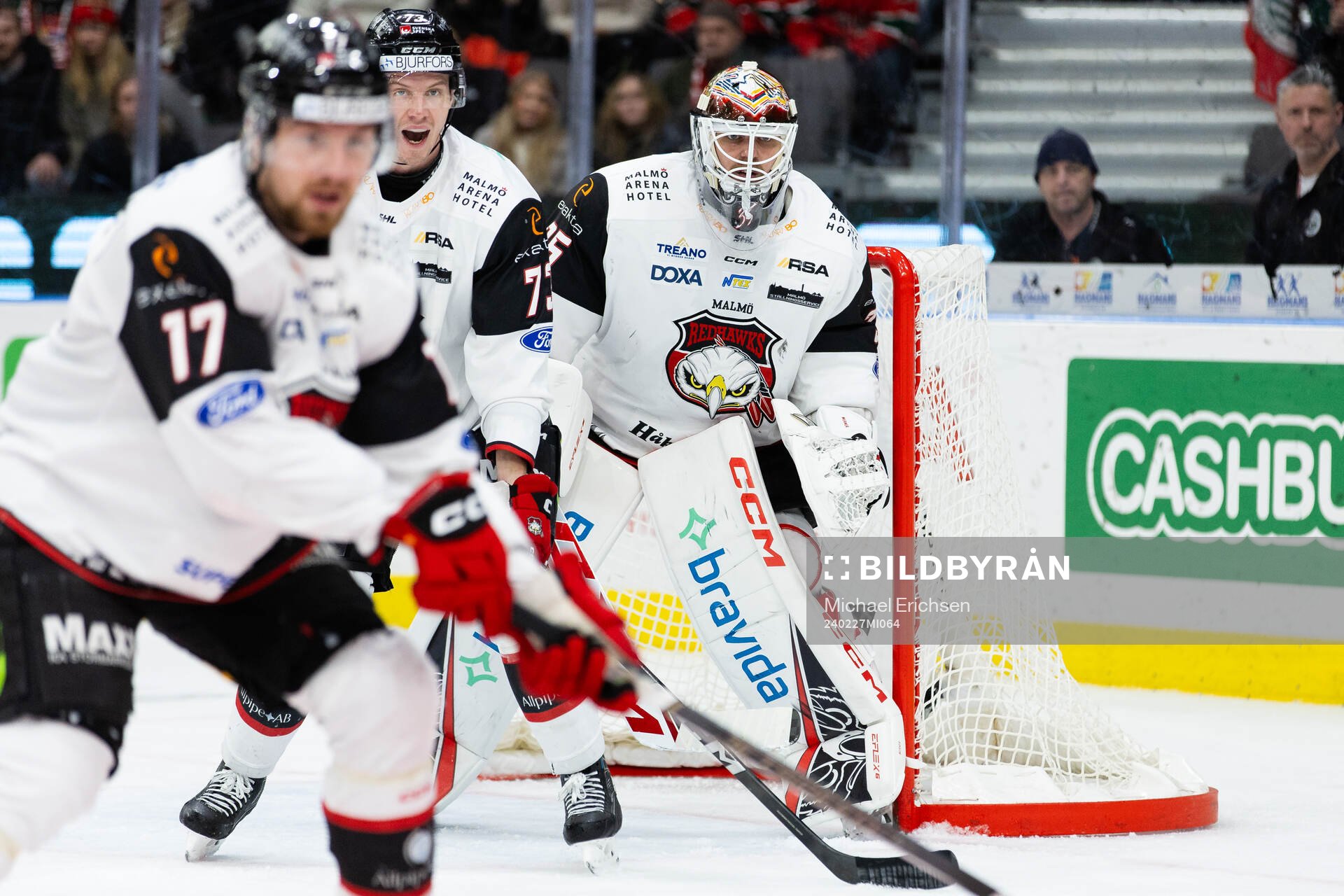 Malmö Redhawks målvakt Adam Werner
