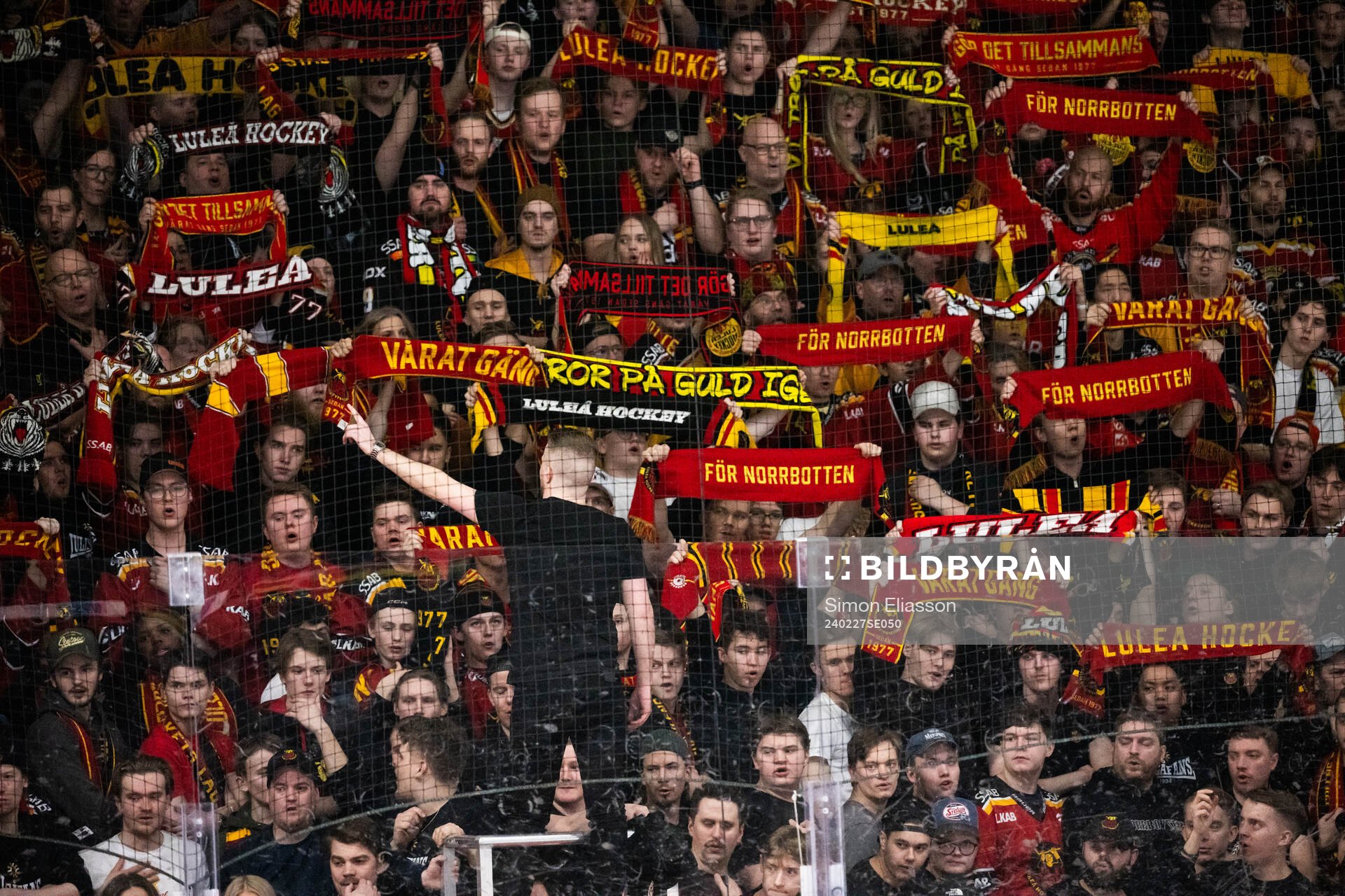 Luleås supportrar