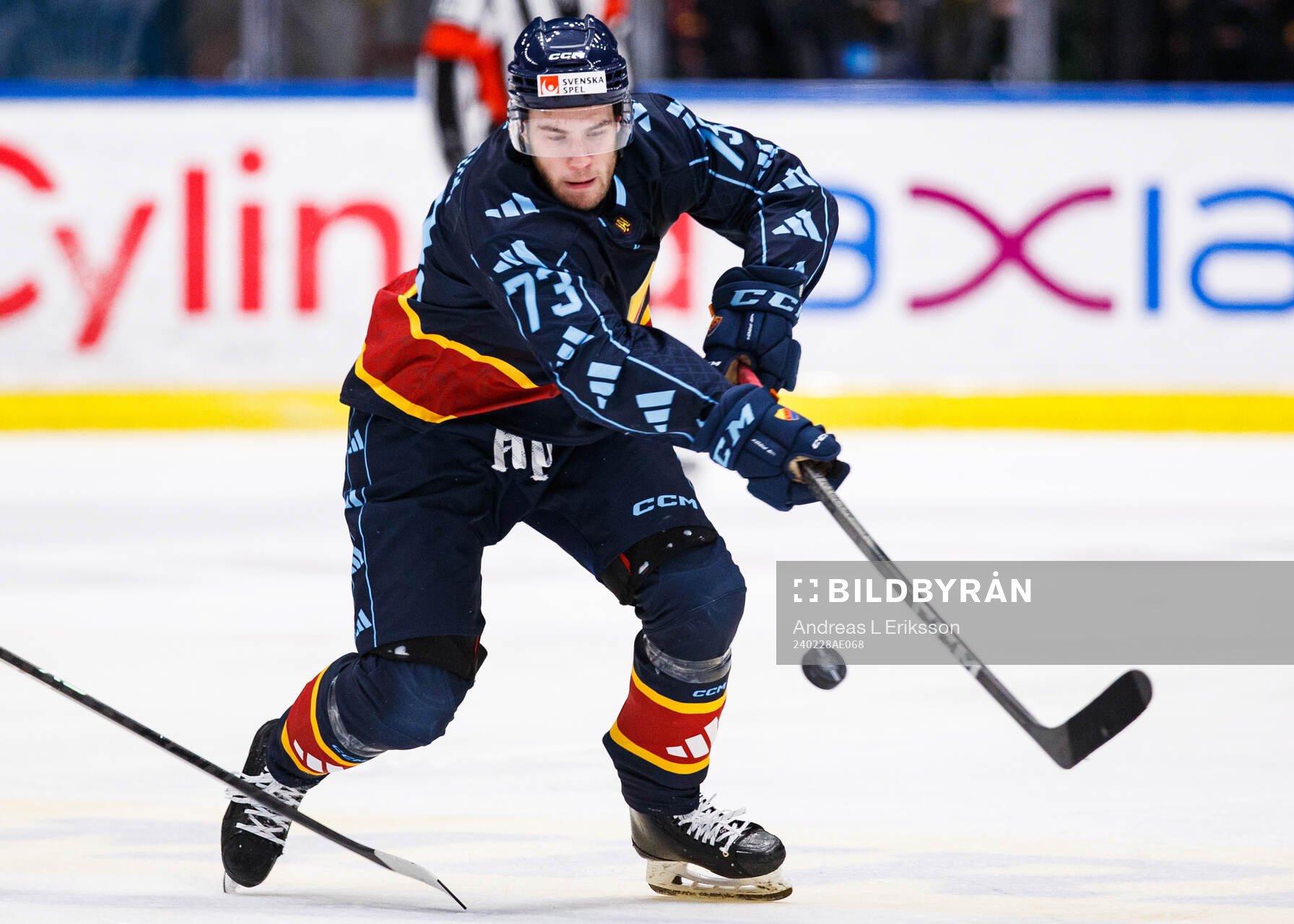 Djurgårdens Anton Gradin