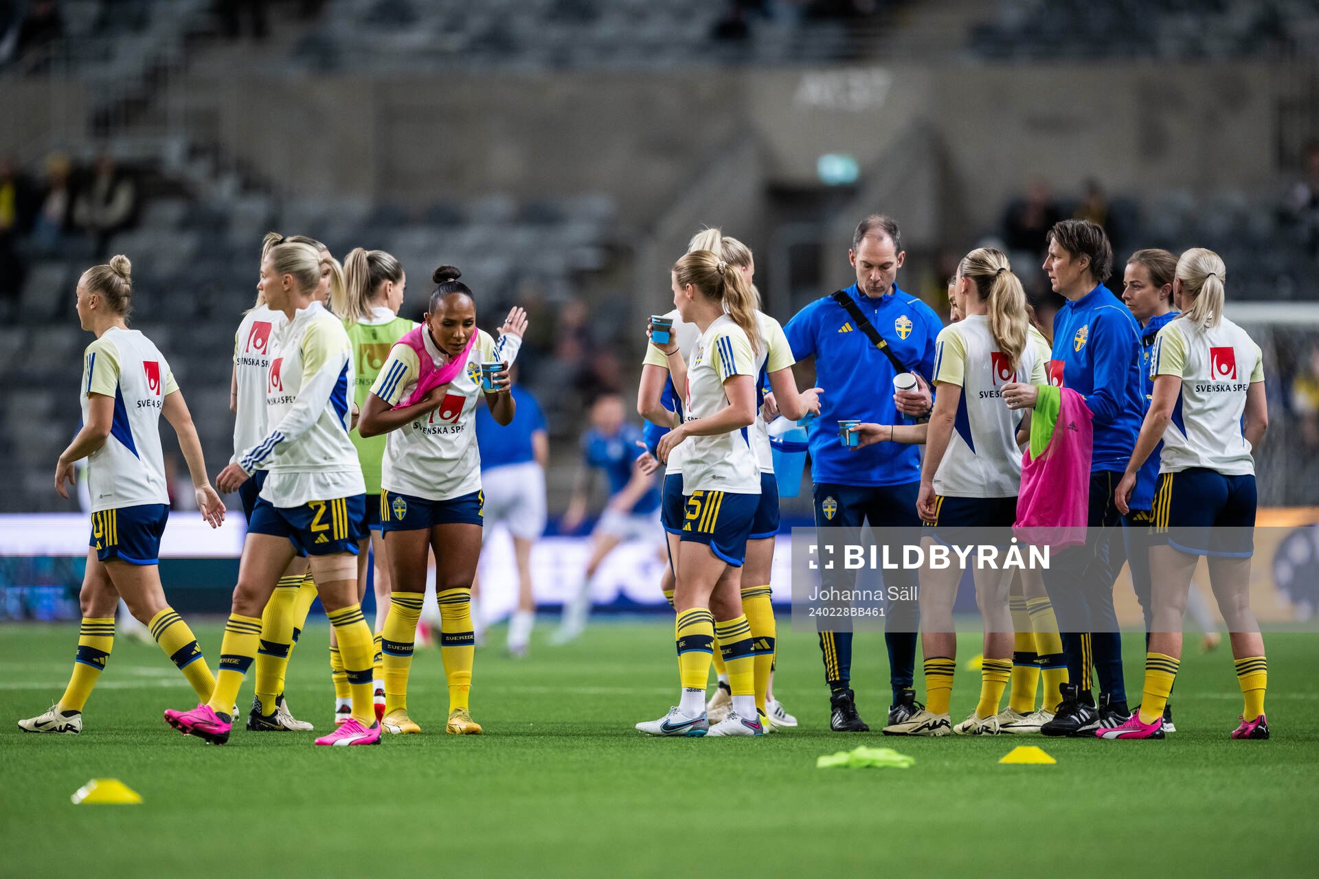 Players of Sweden