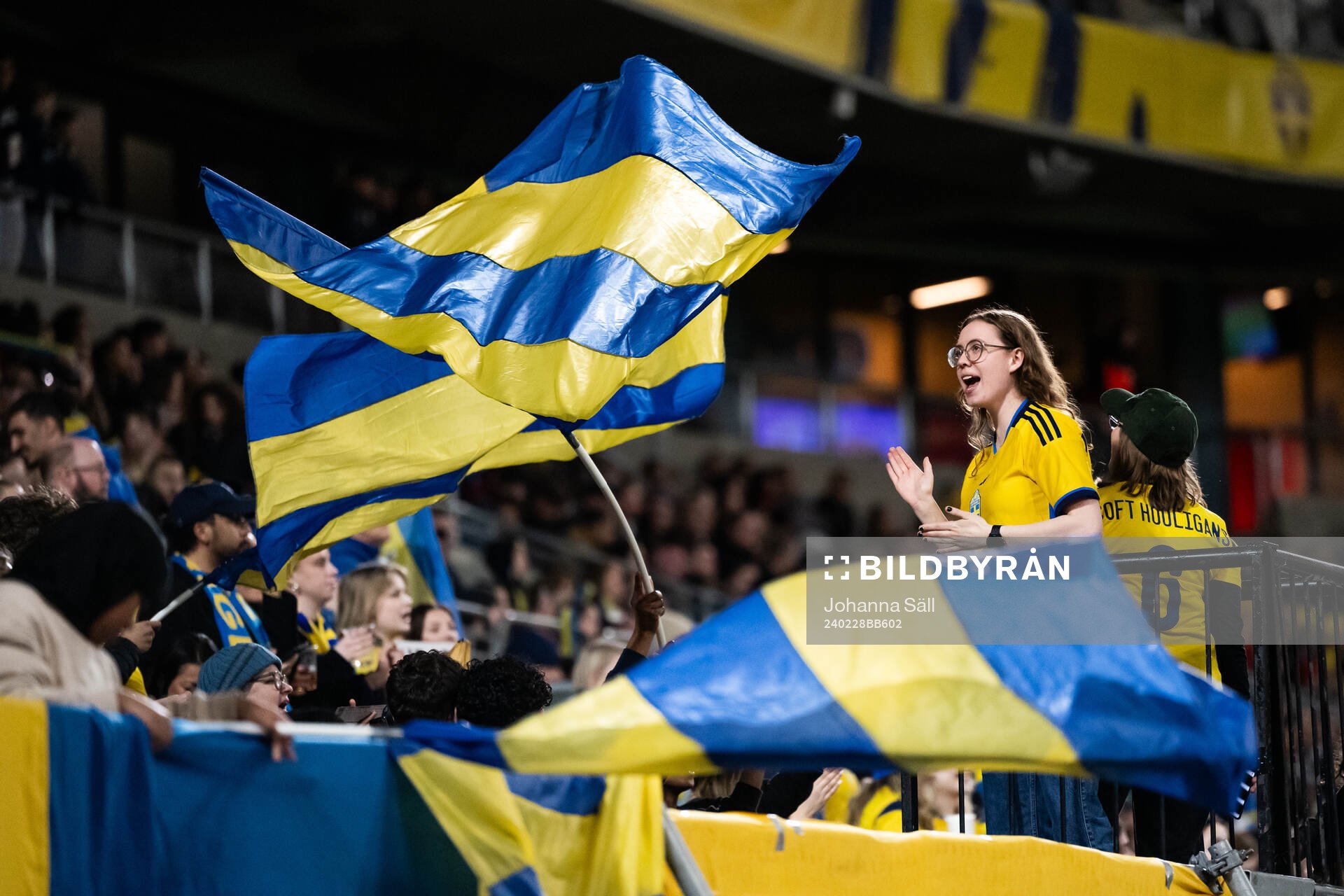 Fans of Sweden