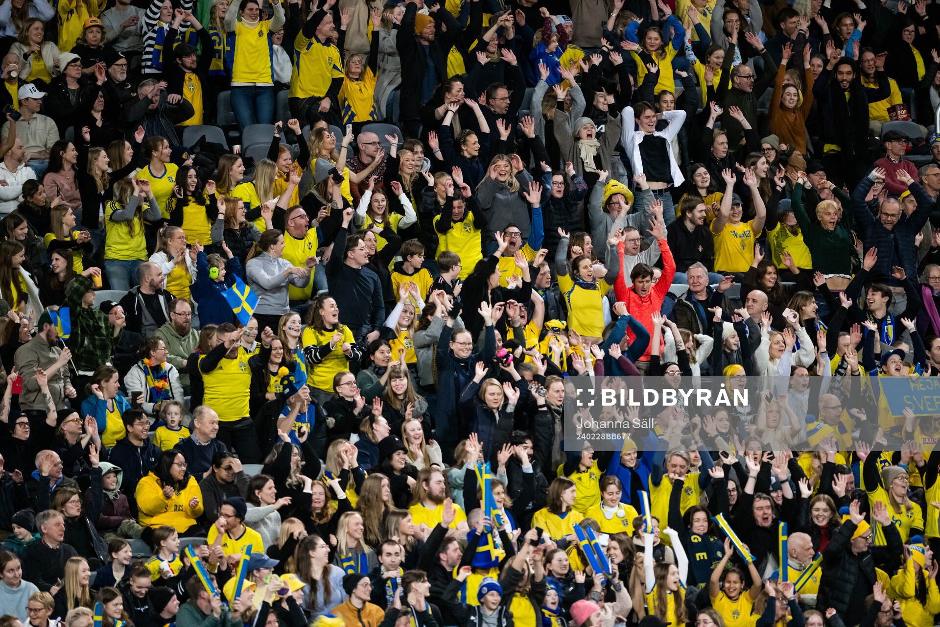 Fans of Sweden