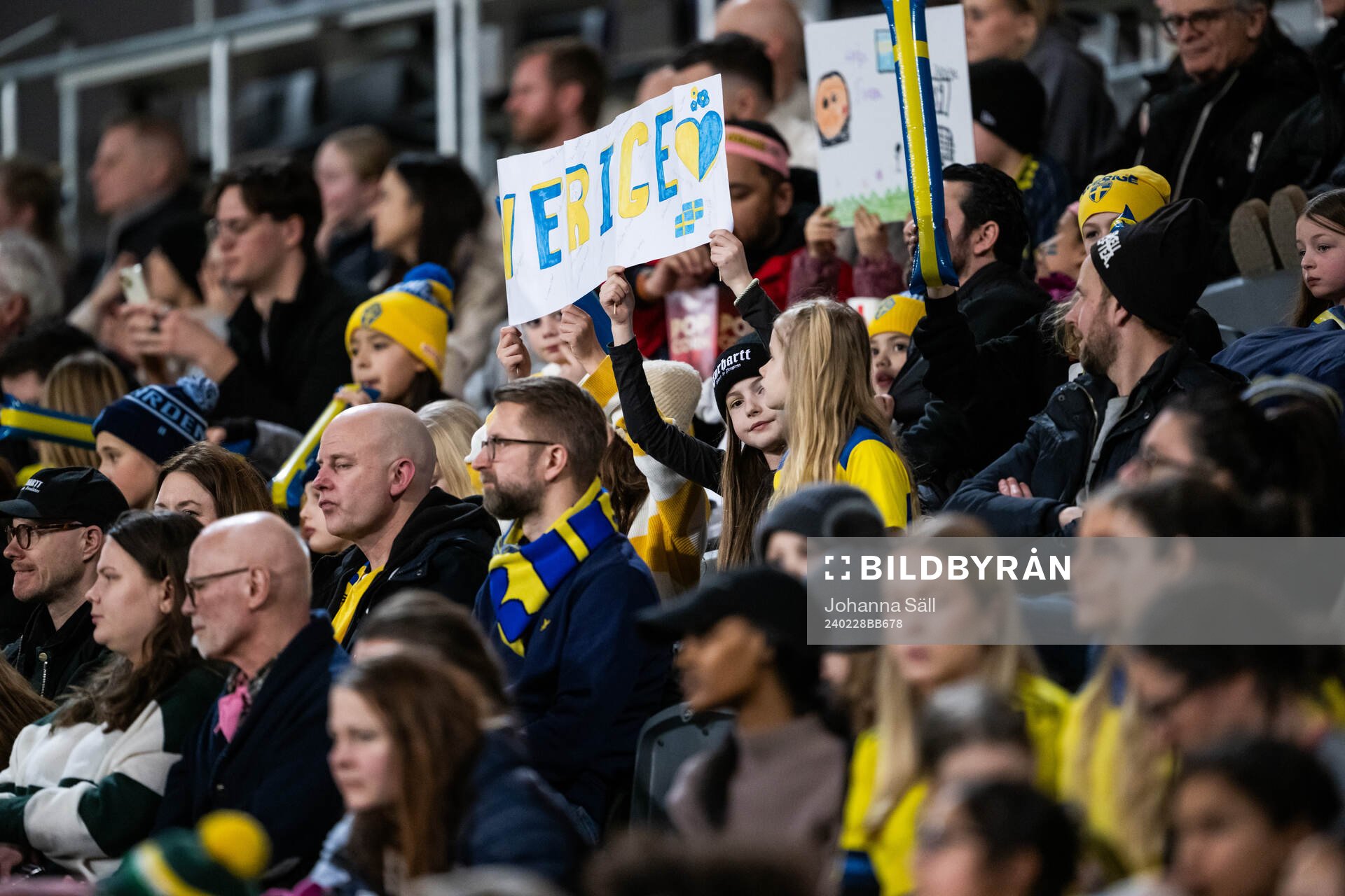 Fans of Sweden