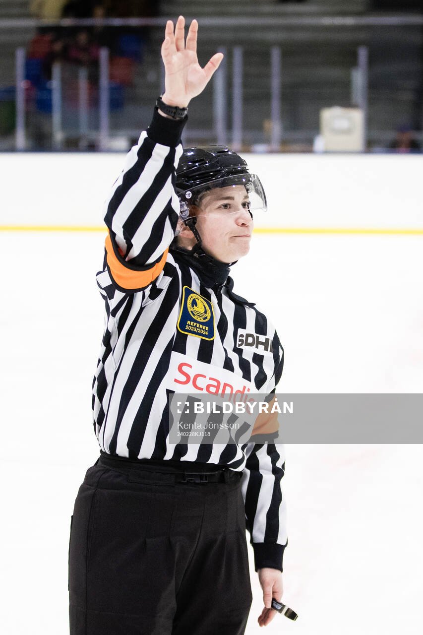 Domare Ida Henriksson