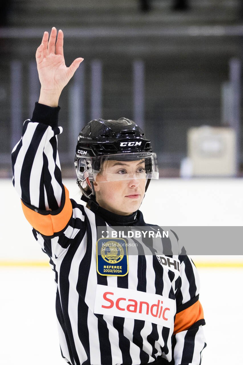 Domare Sabina Küller