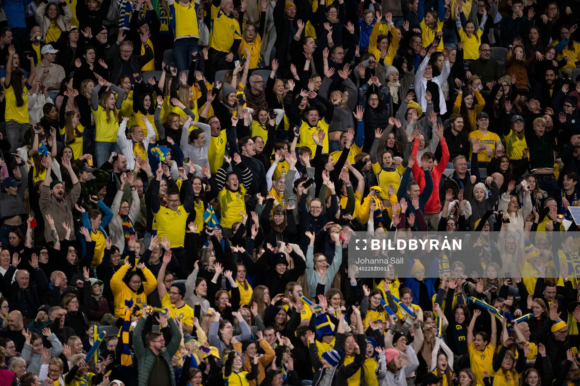 Fans of Sweden
