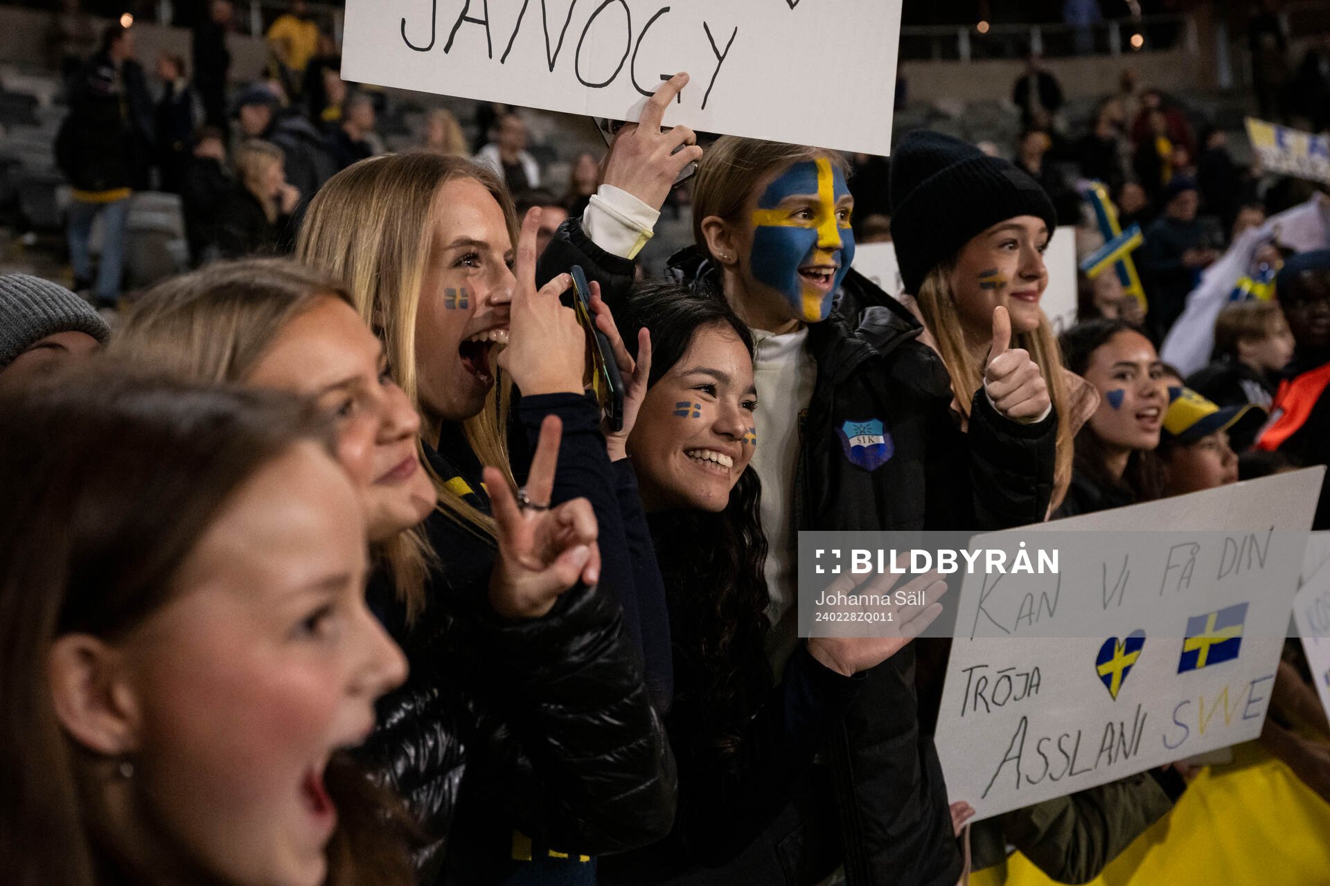 Fans of Sweden