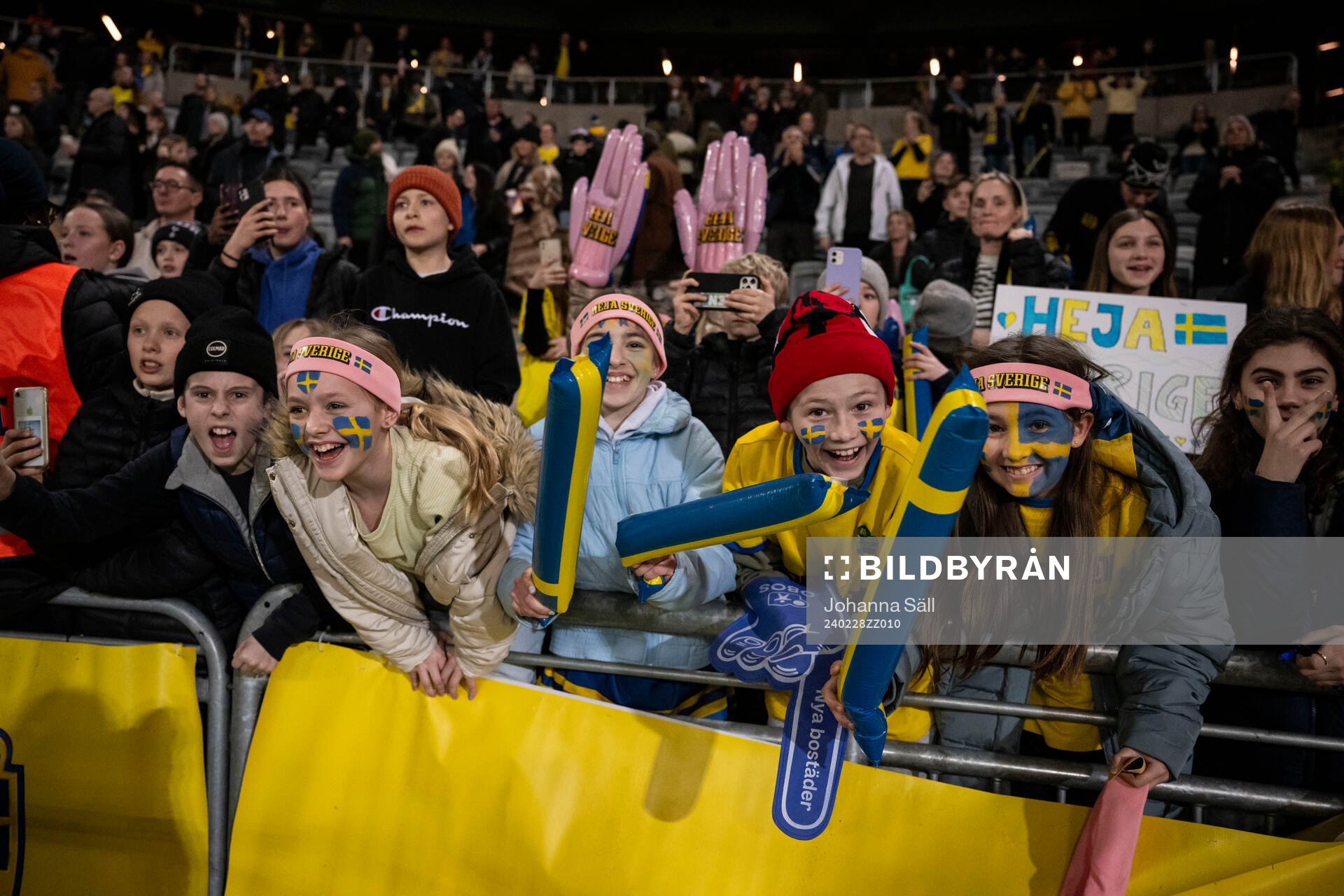 Fans of Sweden