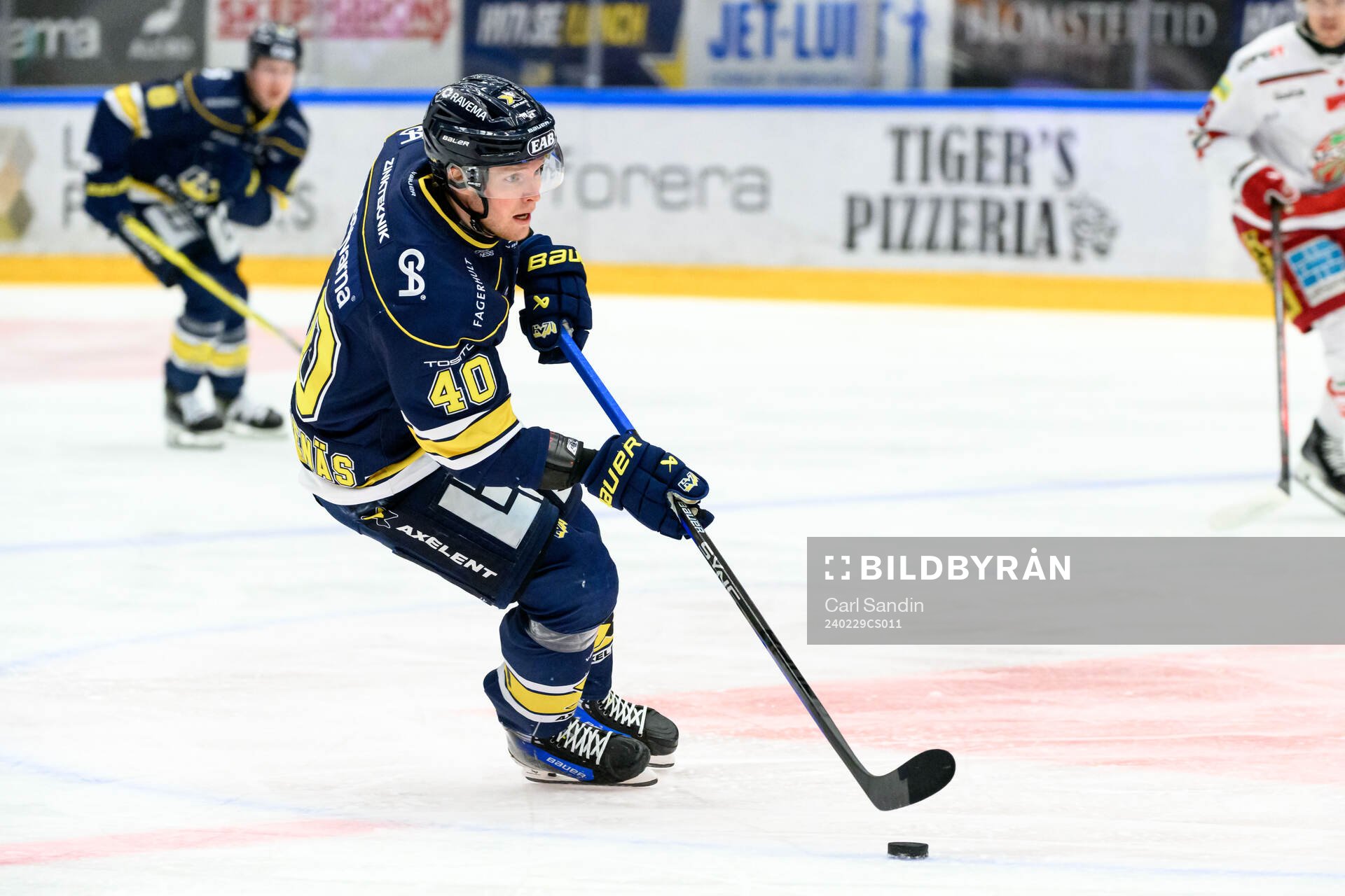 HV71s Oskar Stål-Lyrenäs