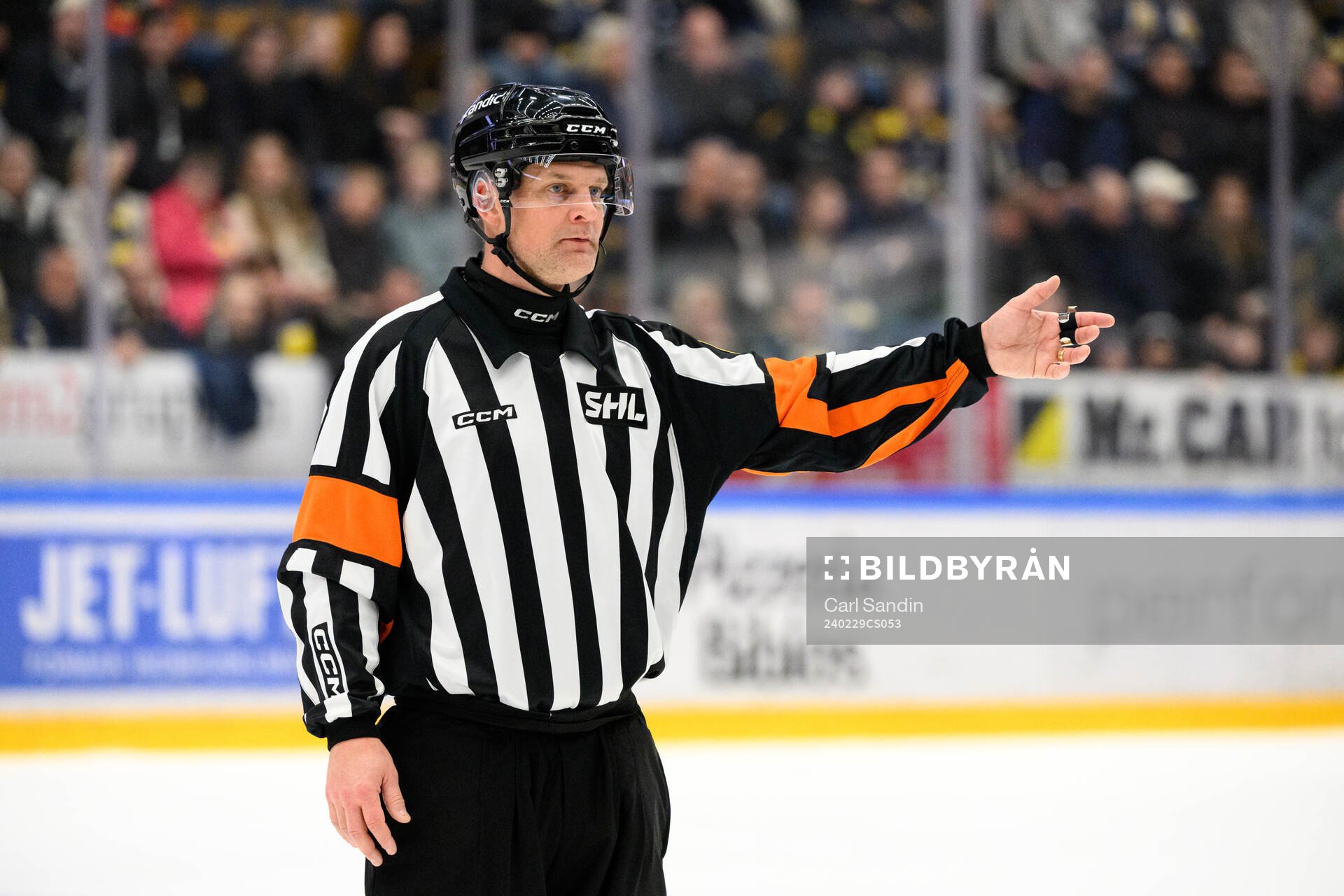 Domare Mikael Nord