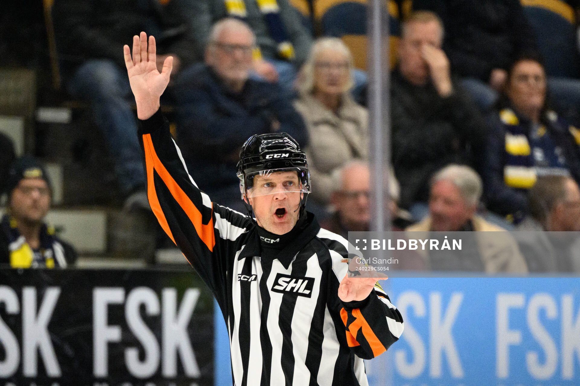 Domare Mikael Nord