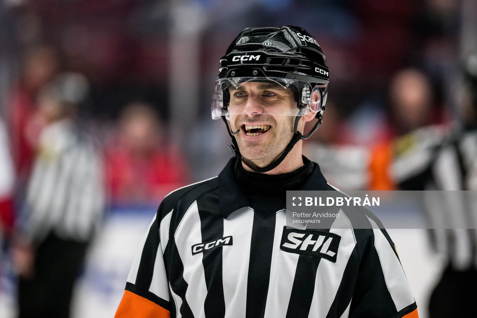 Domare Richard Magnusson