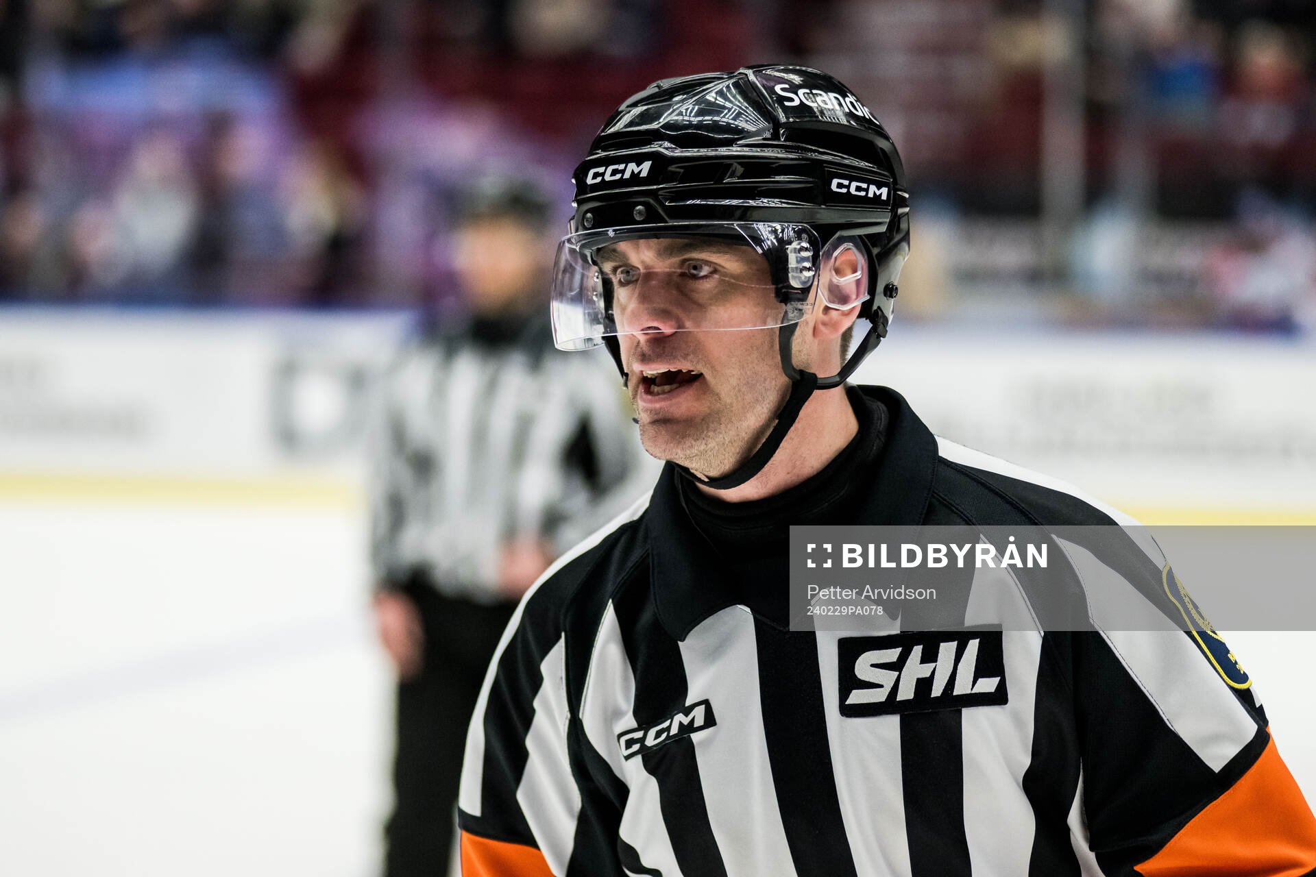 Domare Richard Magnusson