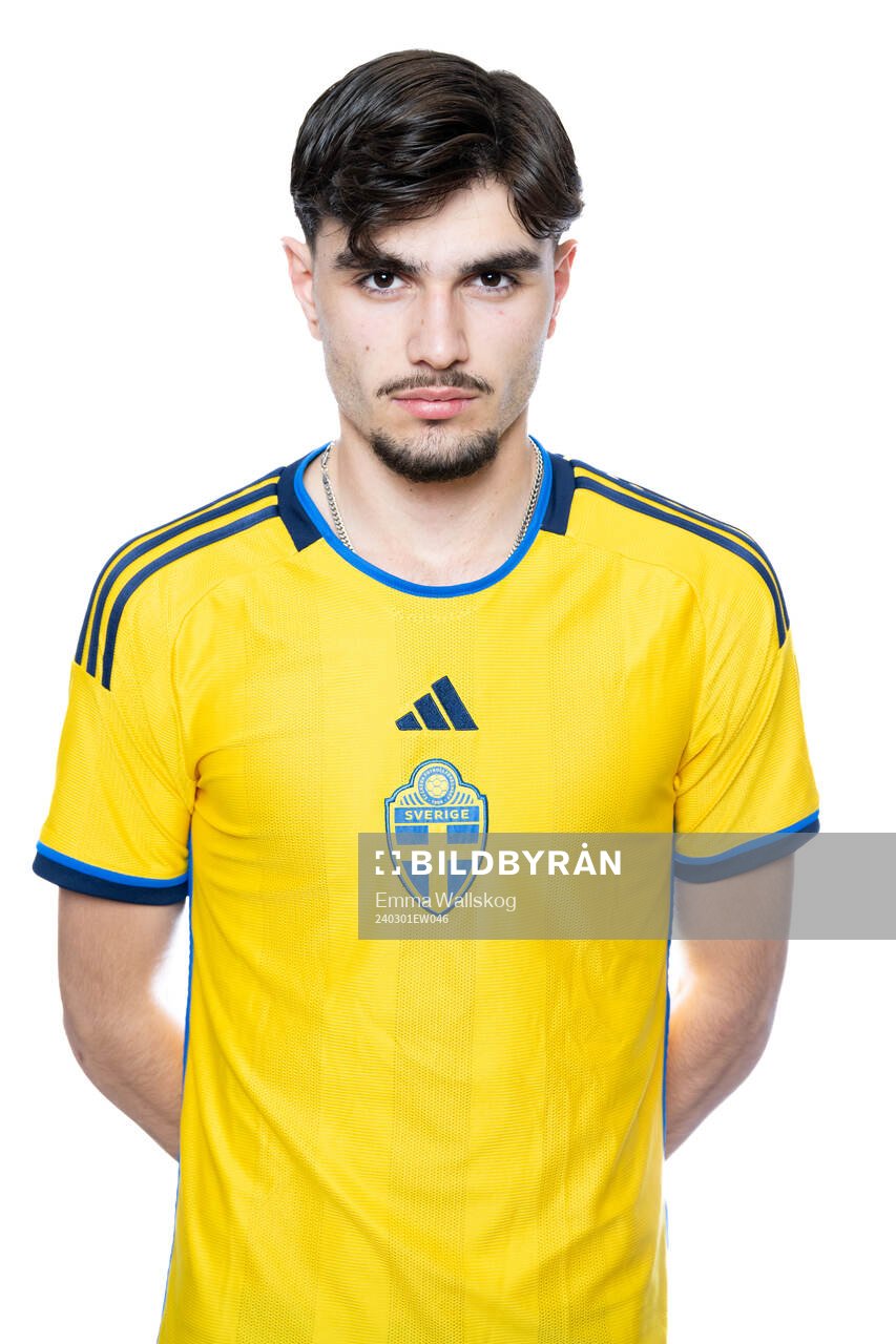 Nikola Mitrovic