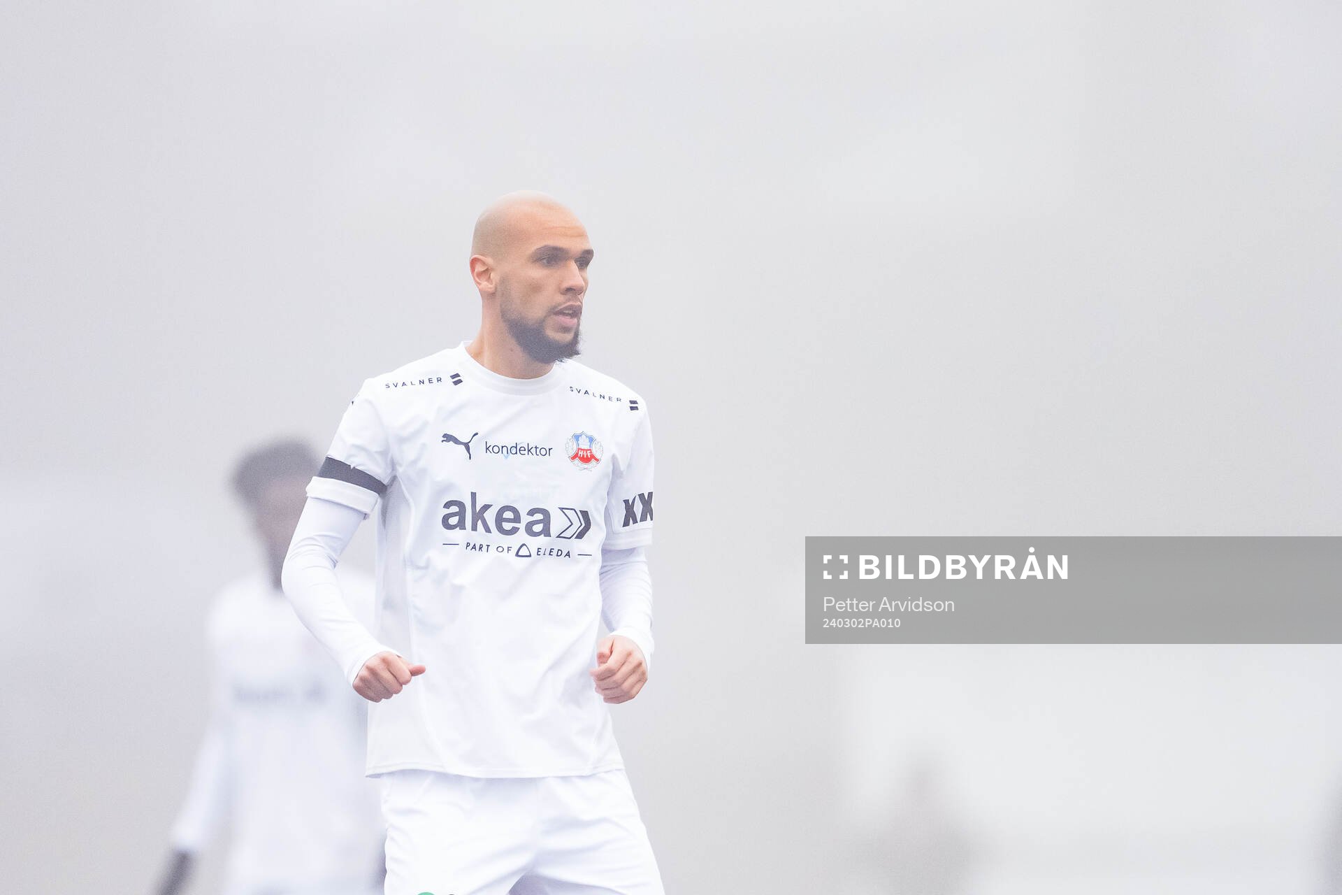 Helsingborgs Sumar Almadjed