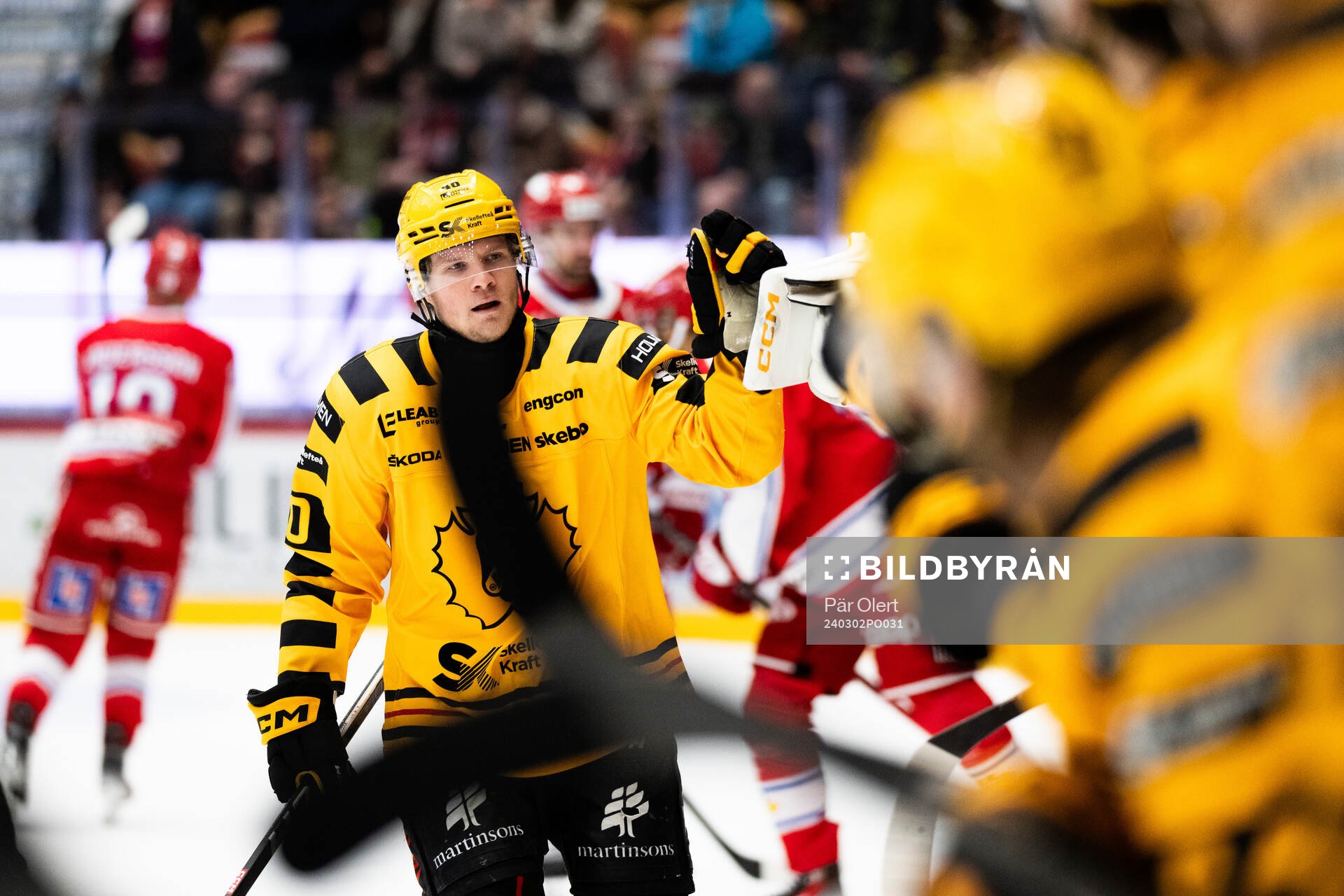 Skellefteås Anton Heikkinen jublar