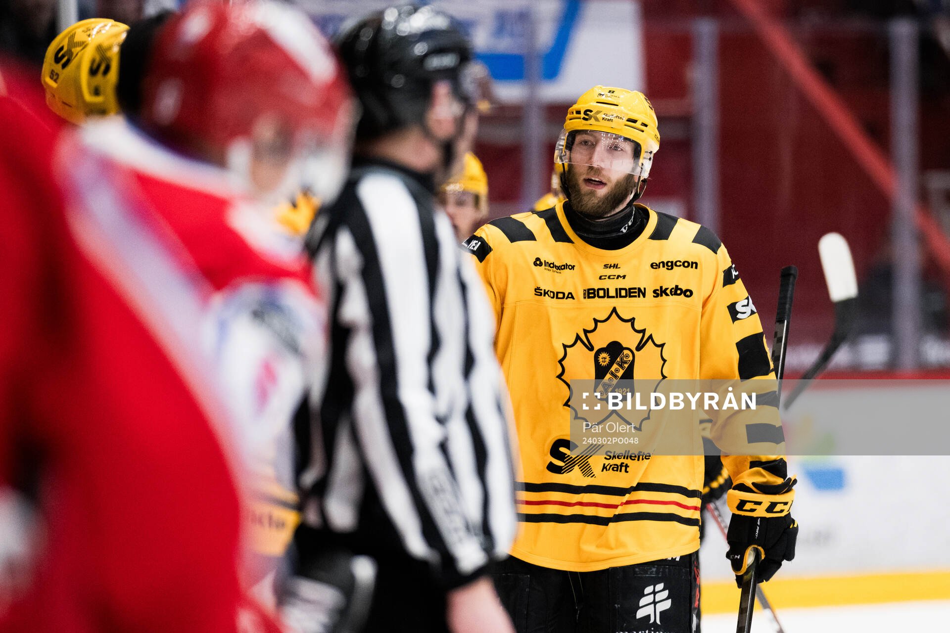 Skellefteås Petter Granberg jublar