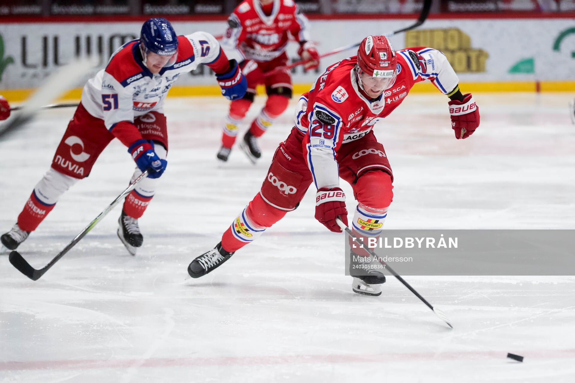 Timrås Filip Hållander