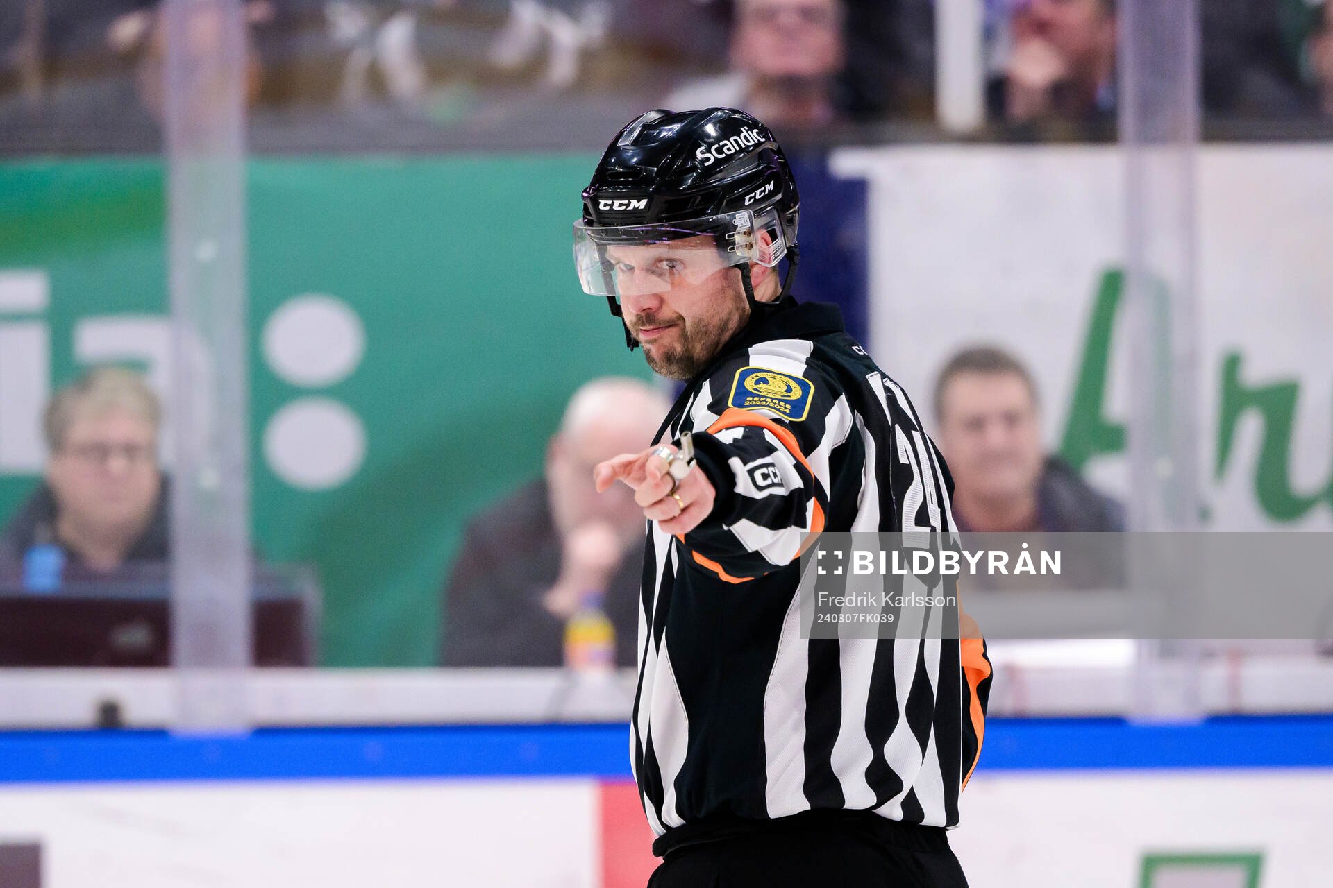Domare Johan Magnusson