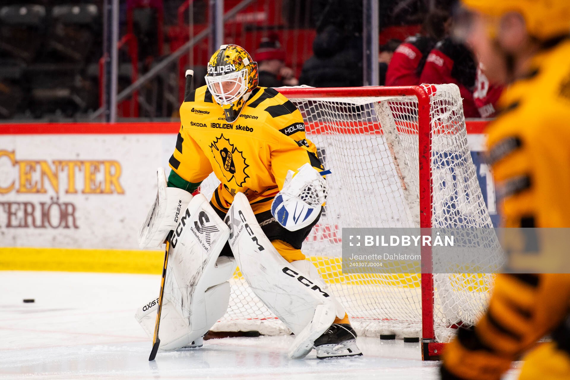 Skellefteås målvakt Alexander Hellnemo