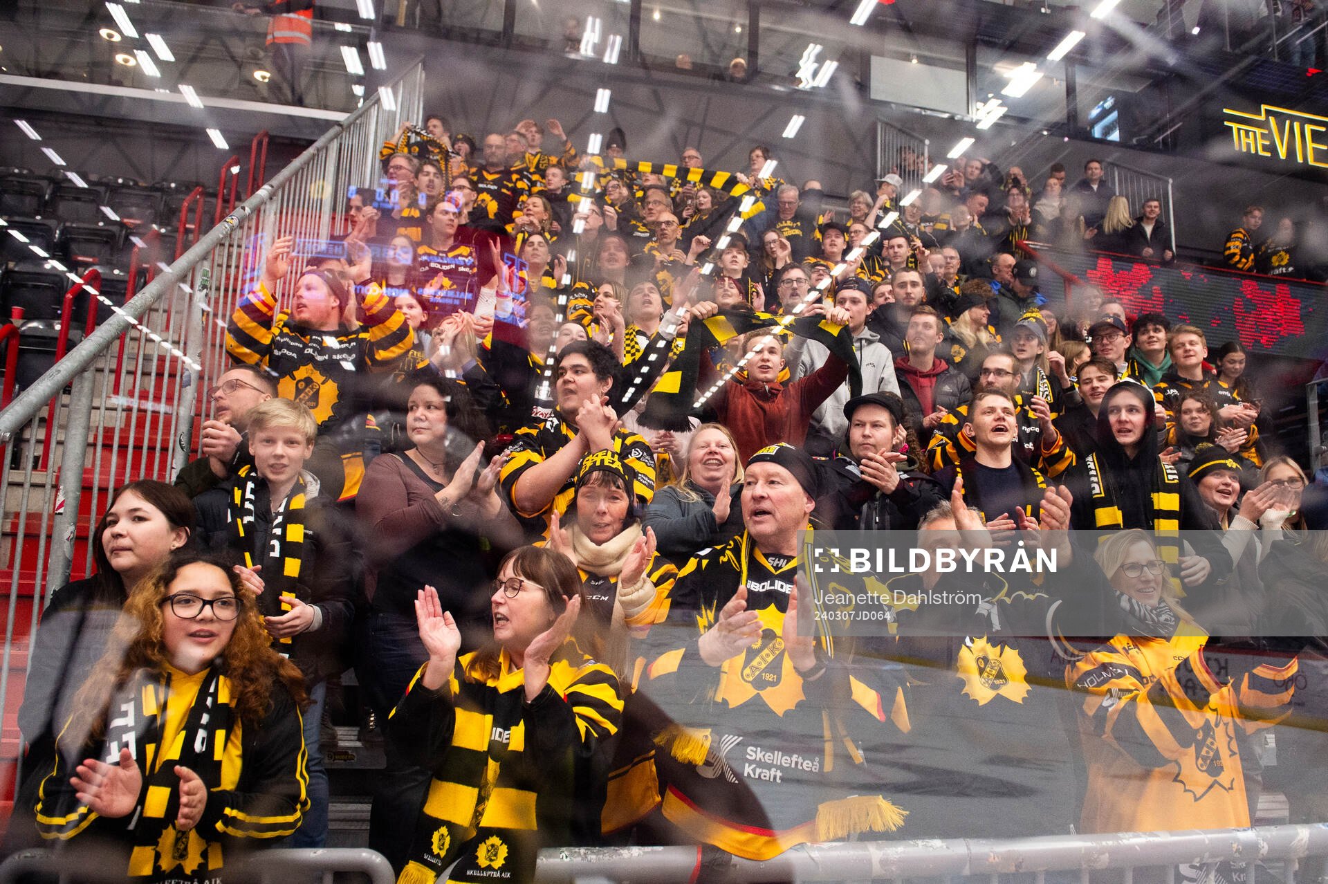 Skellefteå supportar jublar