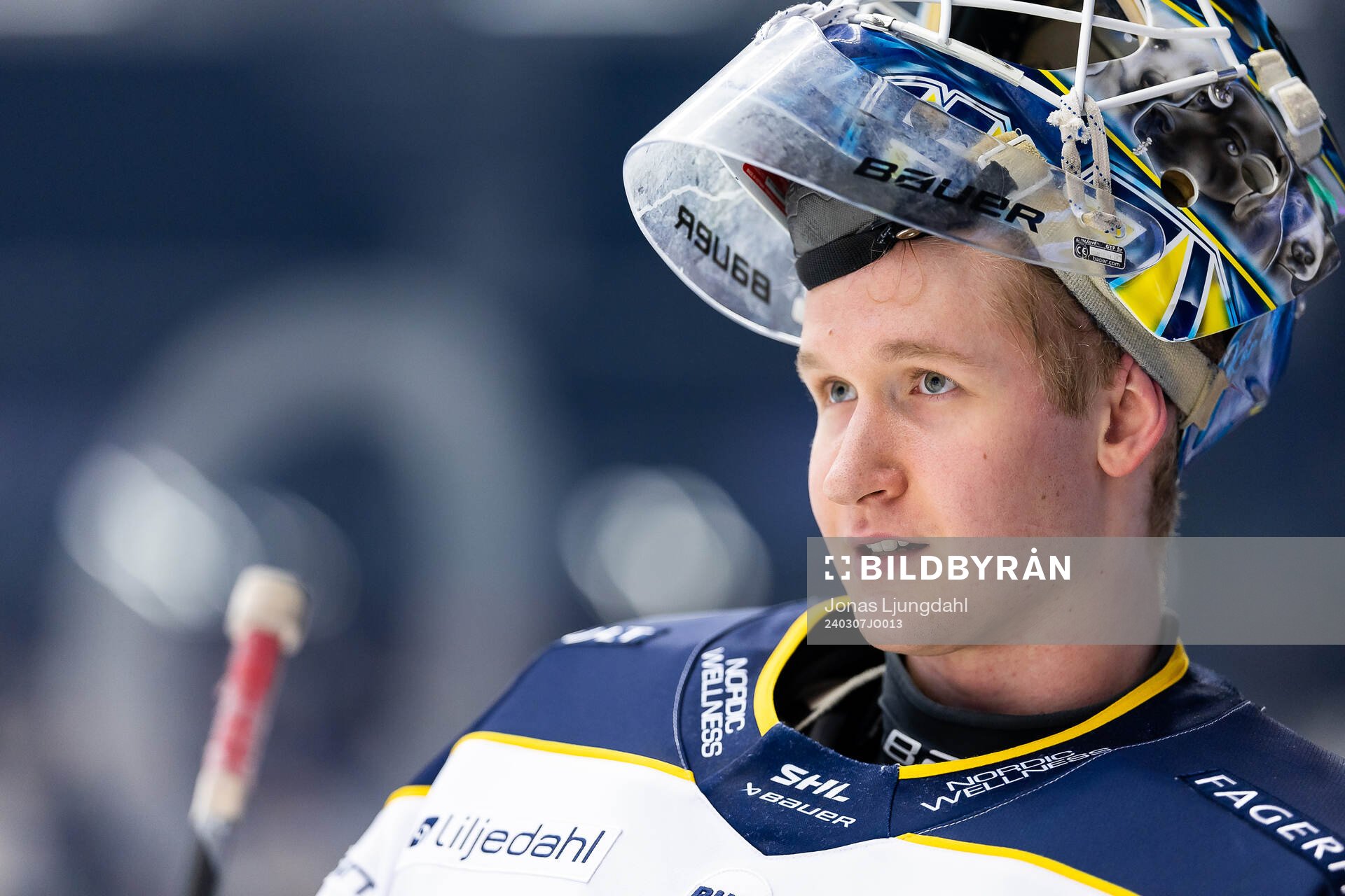 HV71s målvakt Olof Glifford