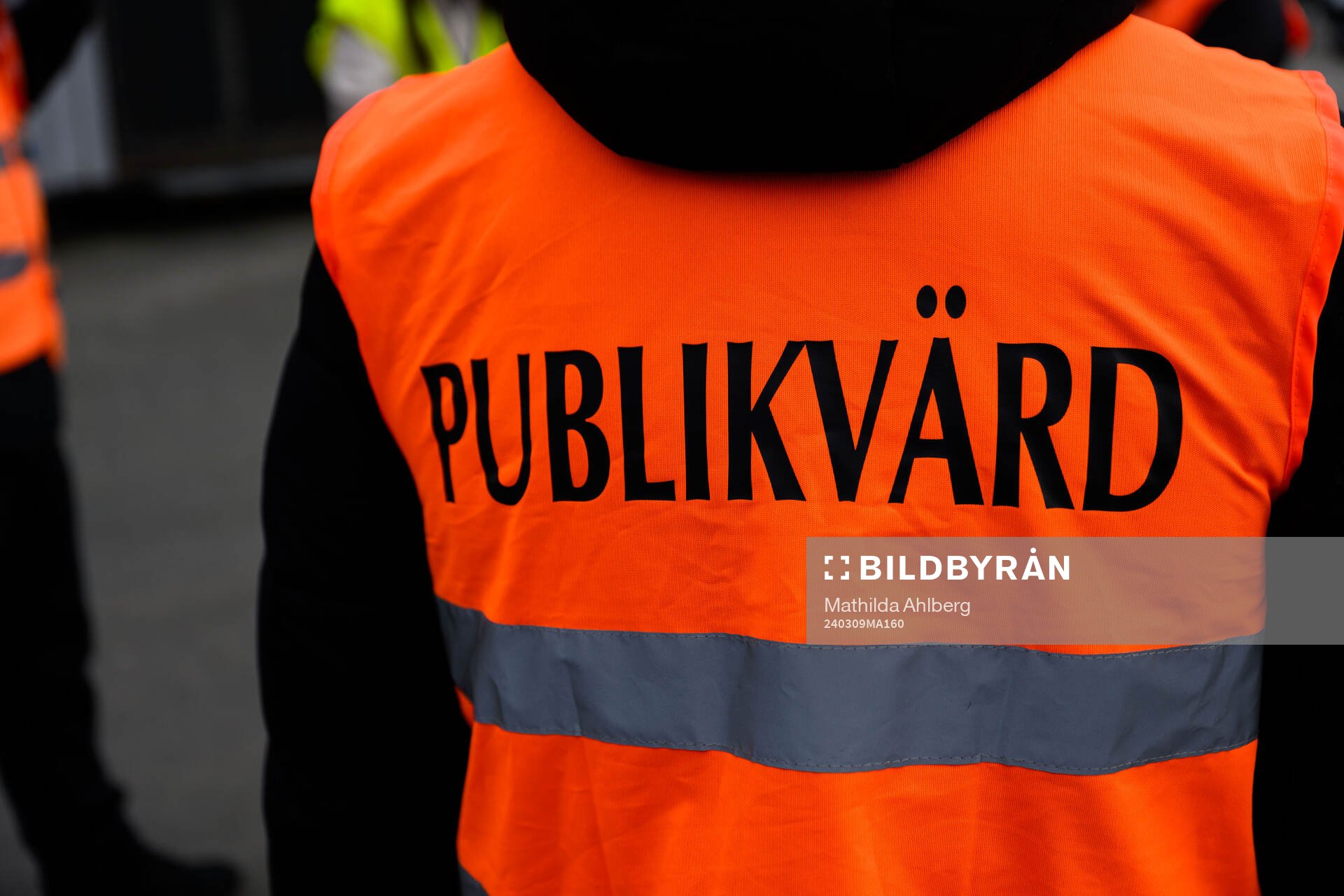 Publikvärd
