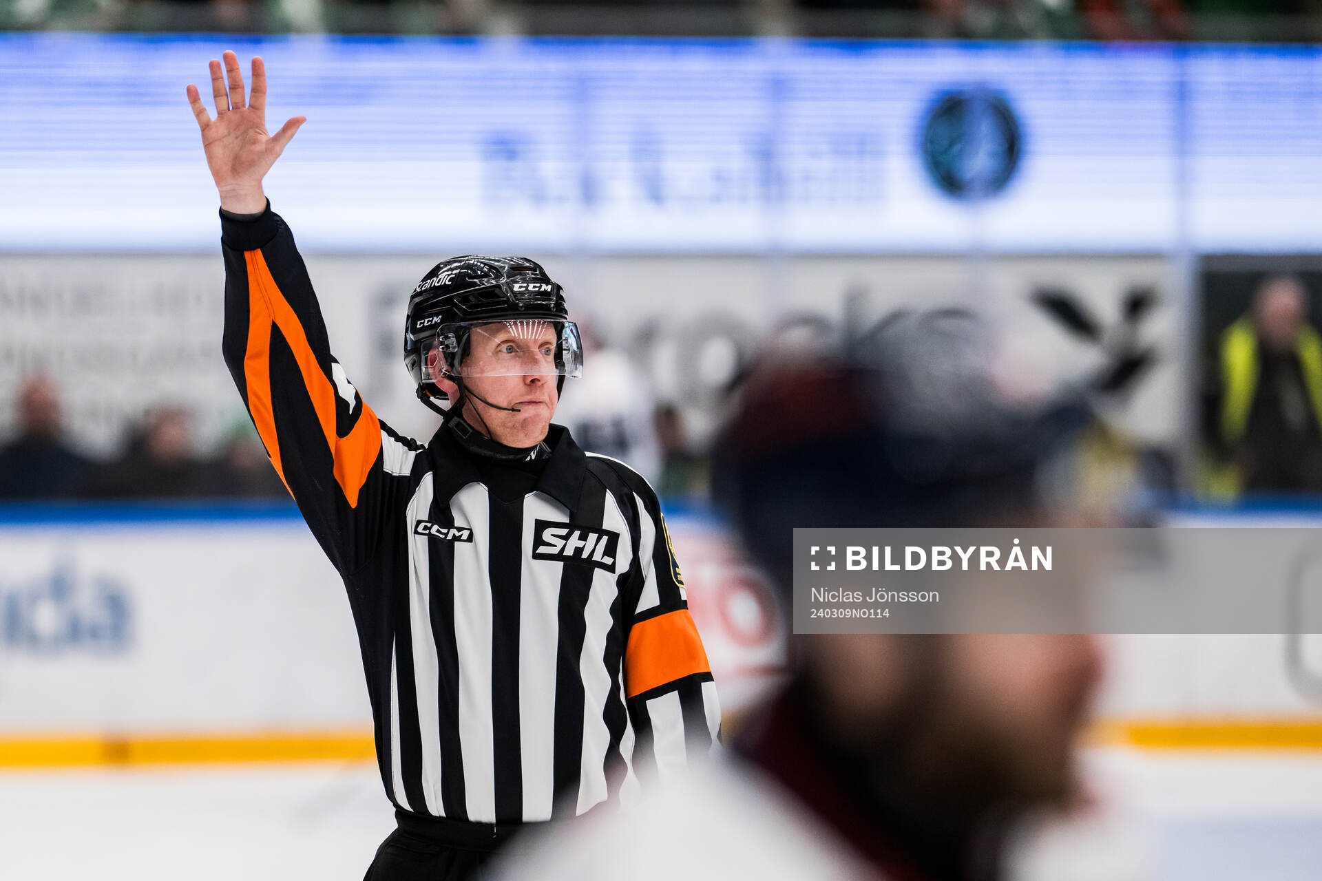 Domare Mikael Holm