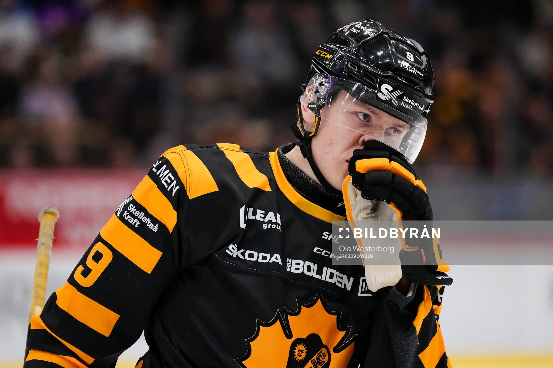 Skellefteås Lukas Vesterlund