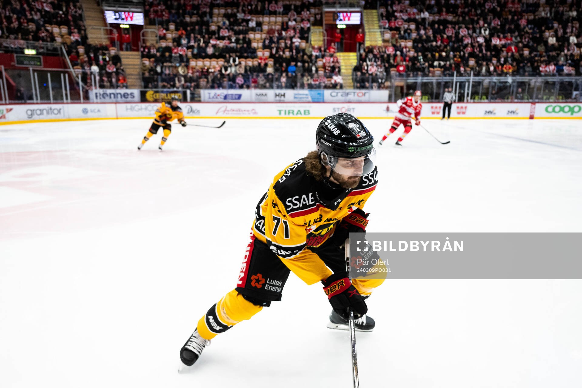 Luleås Adam Brodecki
