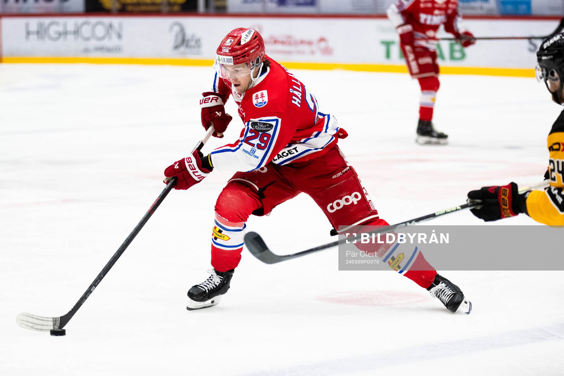 Timrås Filip Hållander
