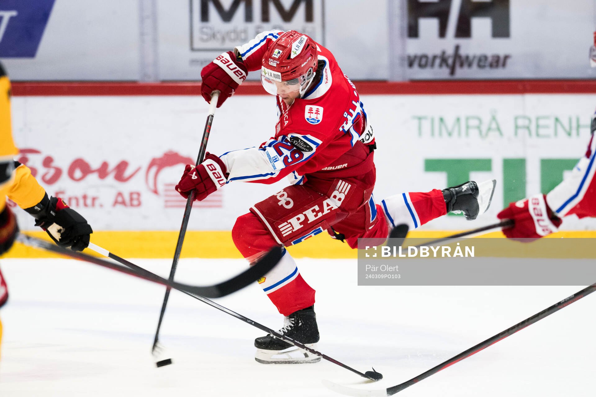 Timrås Filip Hållander
