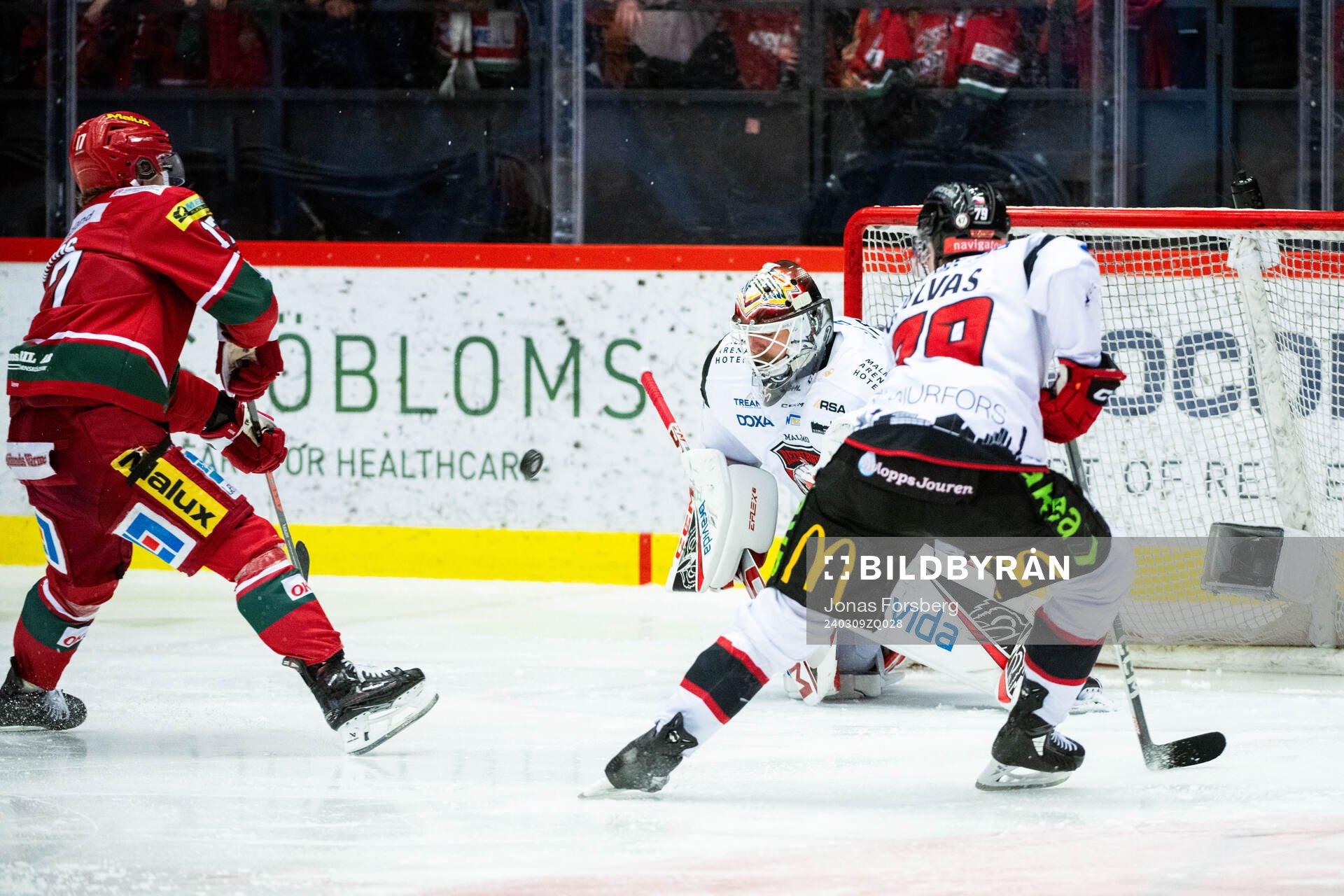 MoDos Riley Woods gör 5-2 bakom Malmö Redhawks målvakt