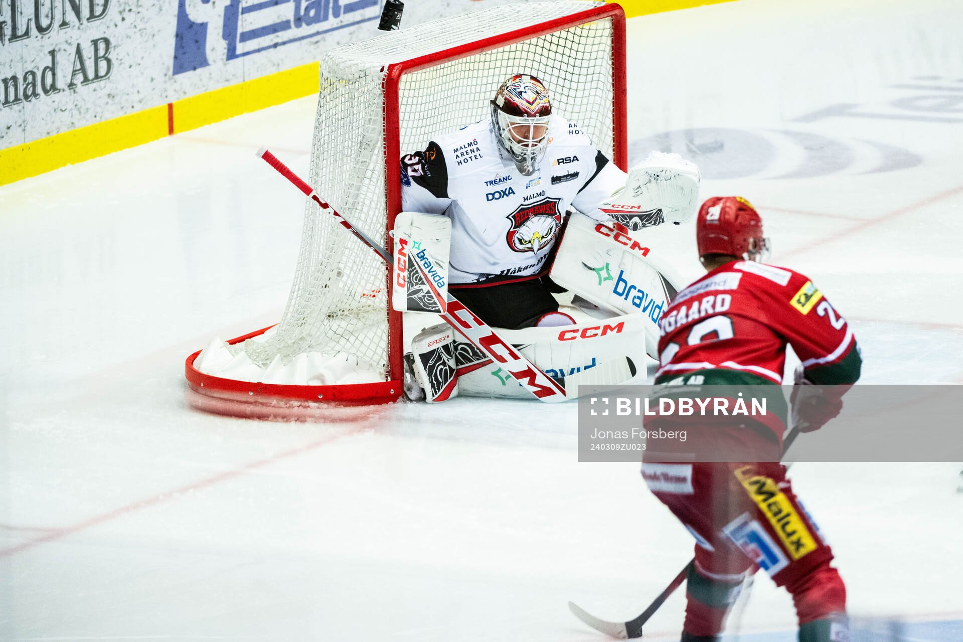Malmö Redhawks målvakt Adam Werner