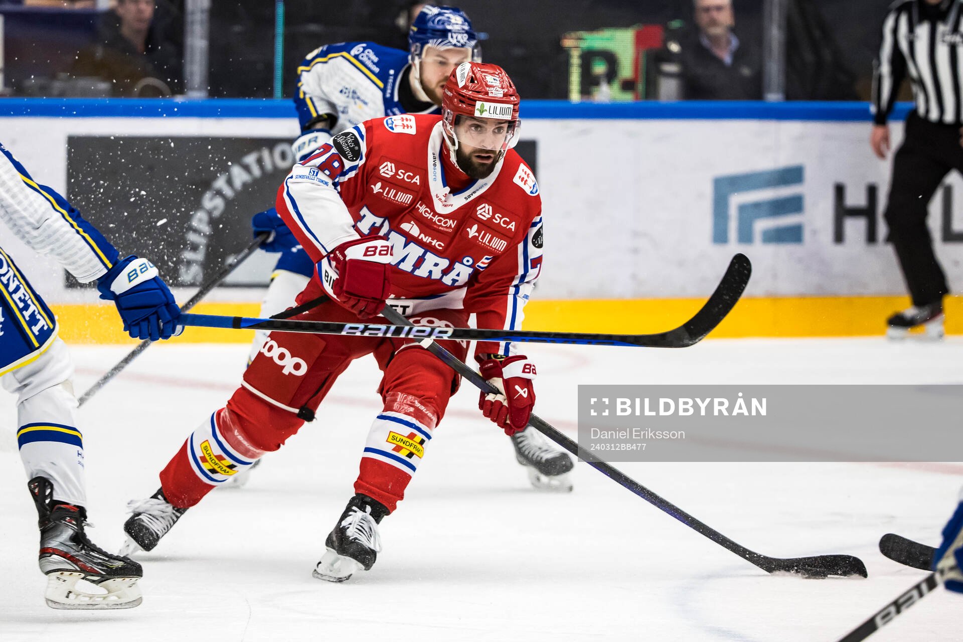 Timrås Robin Hanzl